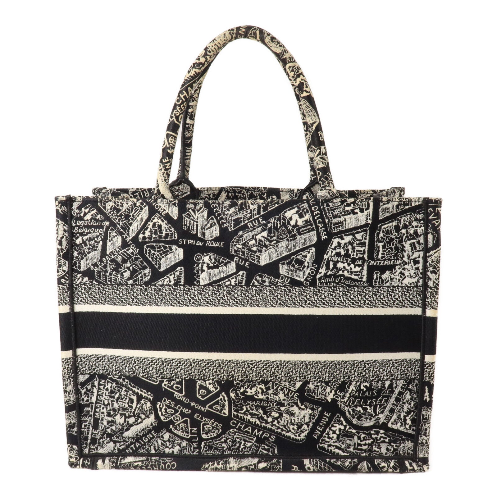 Dior 帆布Book Tote Medium手挽袋