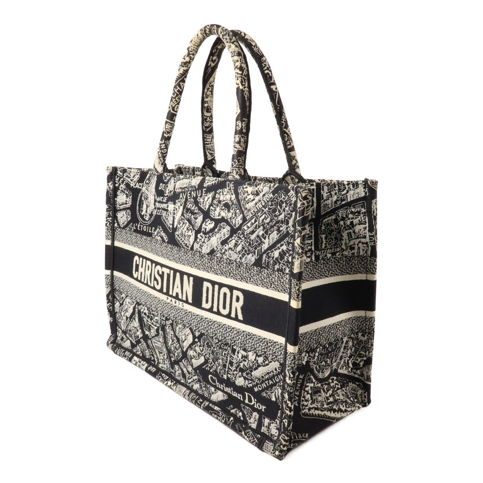 Dior 帆布Book Tote Medium手挽袋