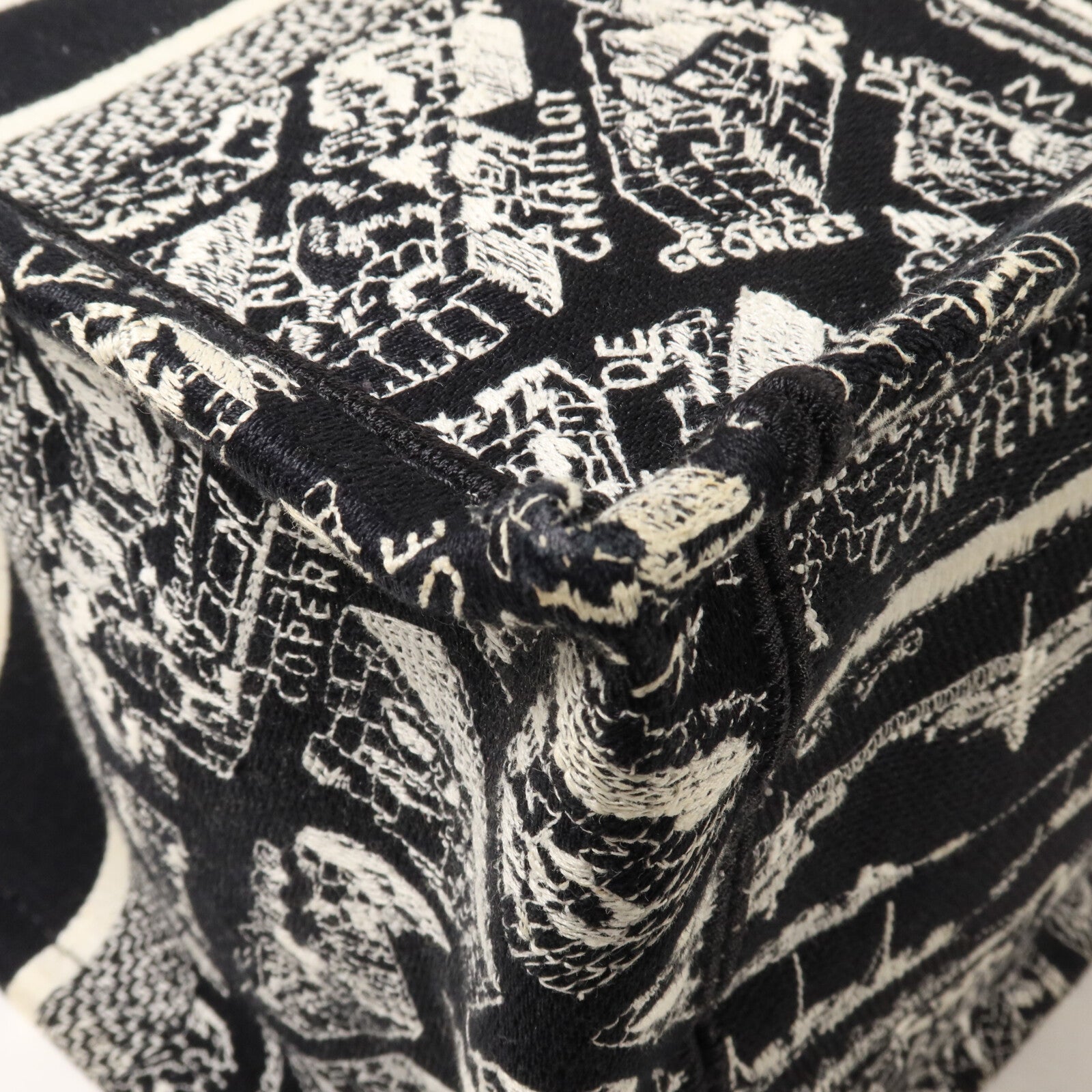 Dior 帆布Book Tote Medium手挽袋