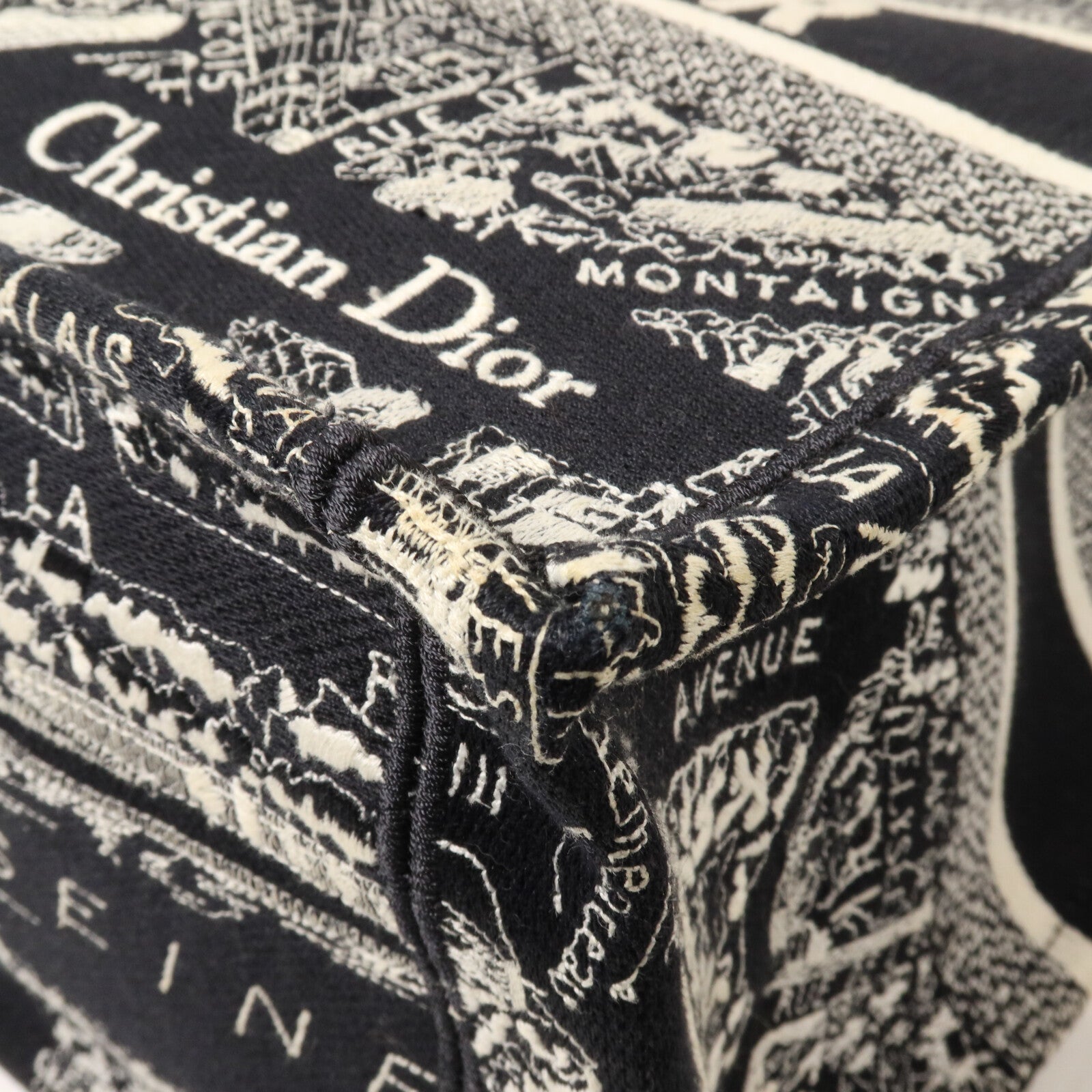 Dior 帆布Book Tote Medium手挽袋
