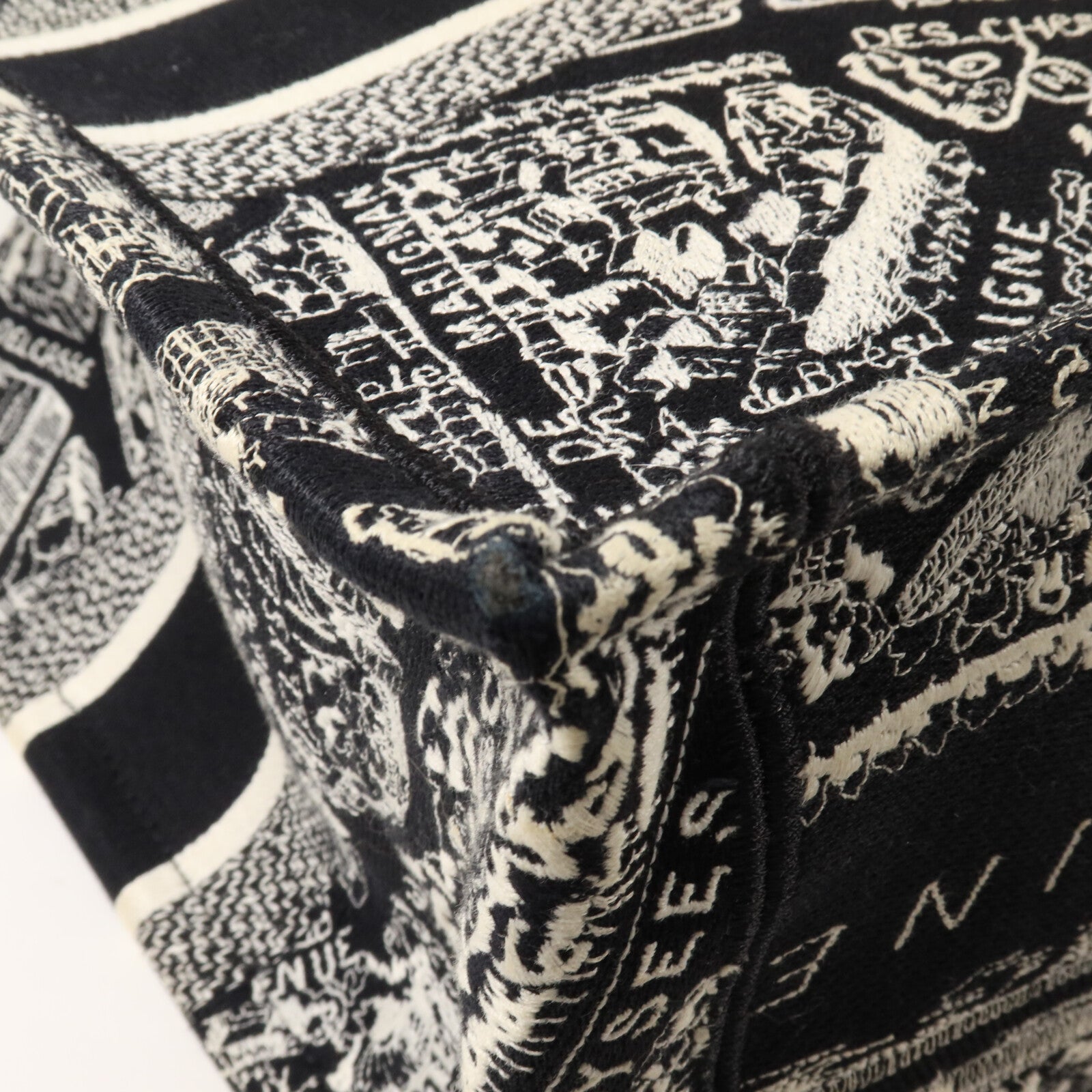 Dior 帆布Book Tote Medium手挽袋