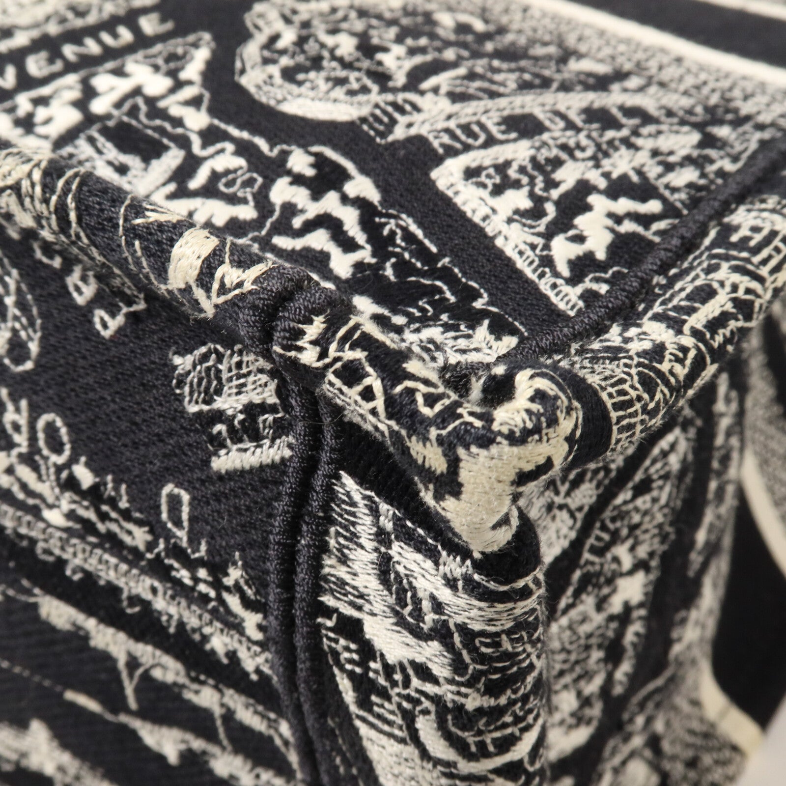 Dior 帆布Book Tote Medium手挽袋