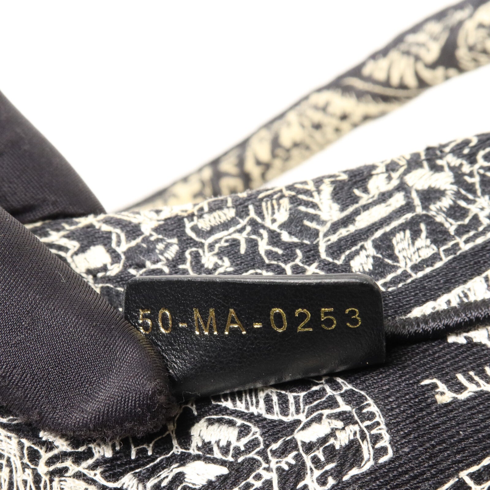 Dior 帆布Book Tote Medium手挽袋