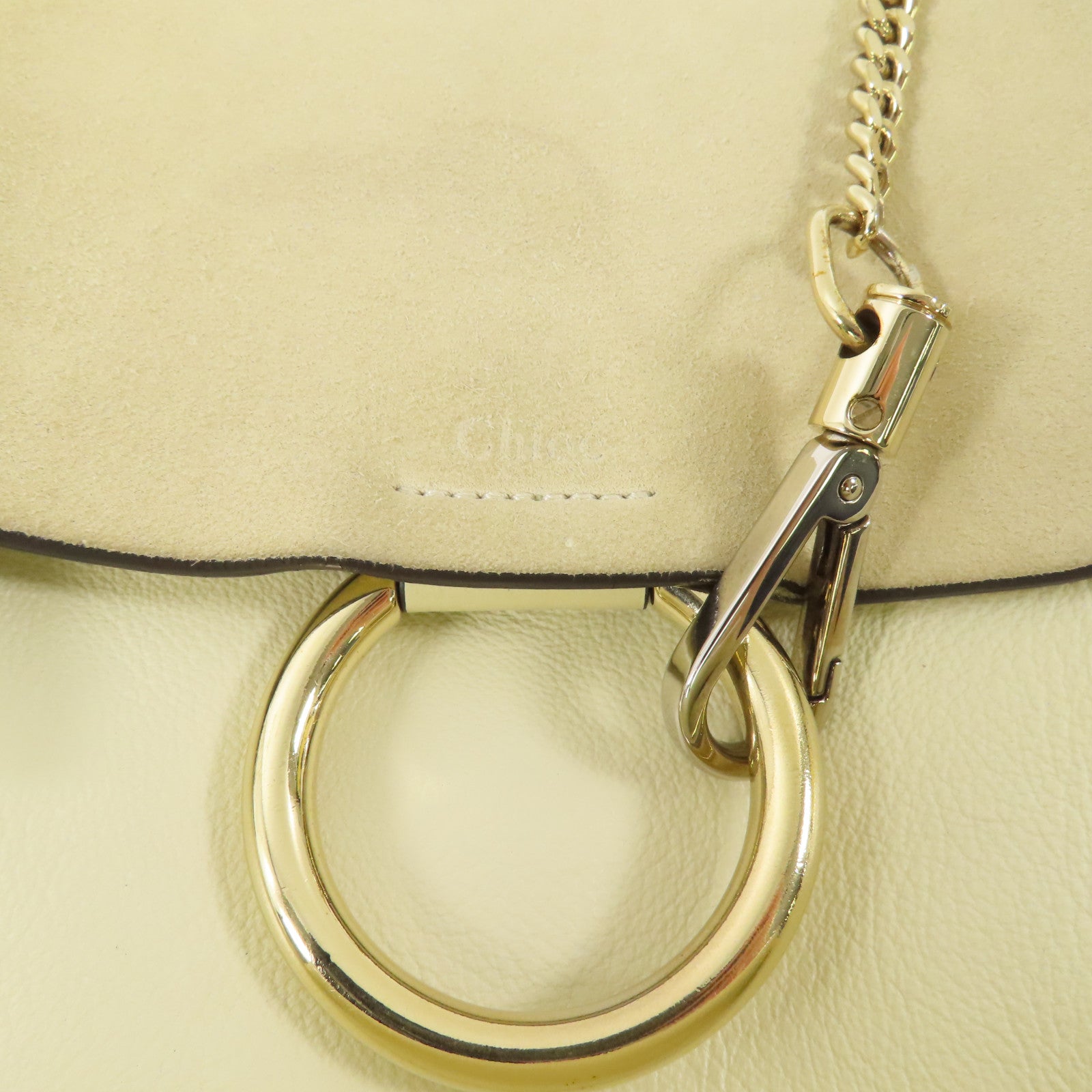 Chloe 麂皮皮革/牛皮皮革Rucksack金扣背包