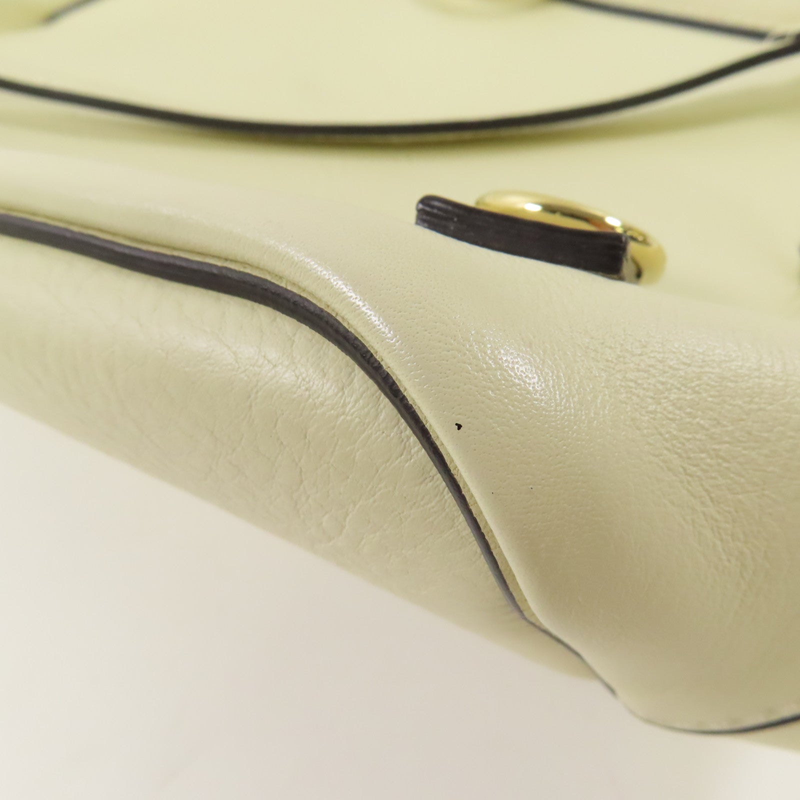 Chloe 麂皮皮革/牛皮皮革Rucksack金扣背包