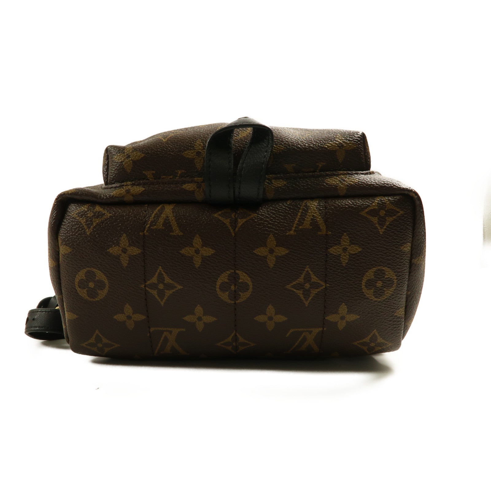LOUIS VUITTON Monogram Palm Spring金扣背包
