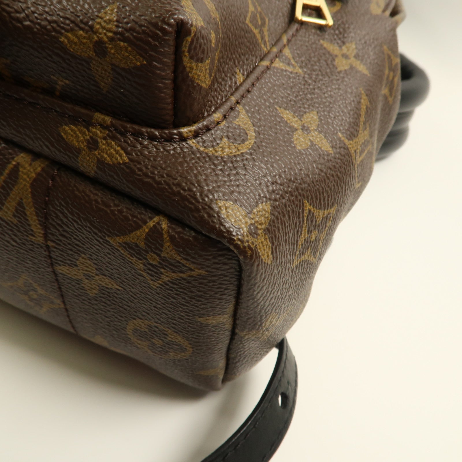 LOUIS VUITTON Monogram Palm Spring金扣背包