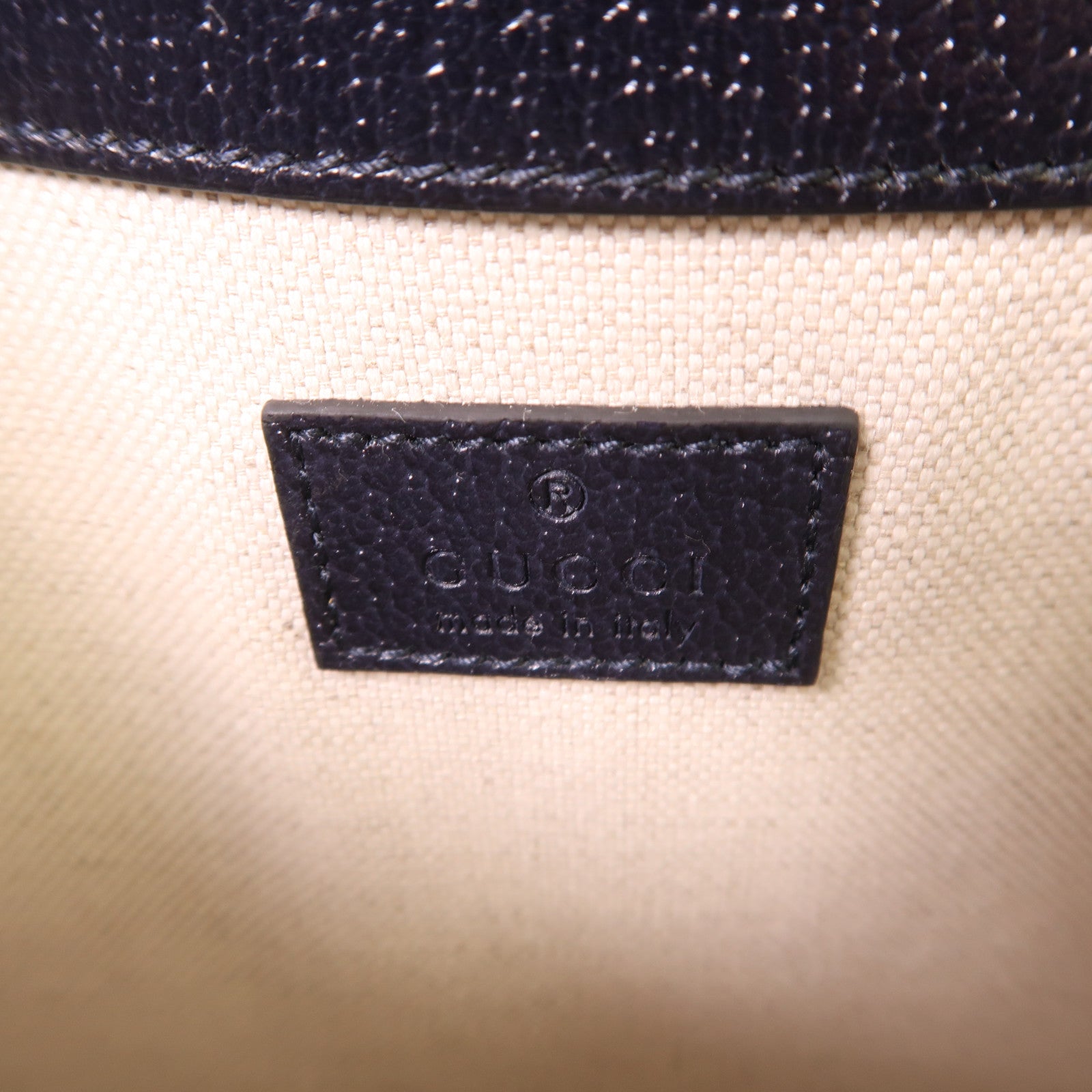 GUCCI 塗層帆布Ophidia GG Supreme銀扣腰包