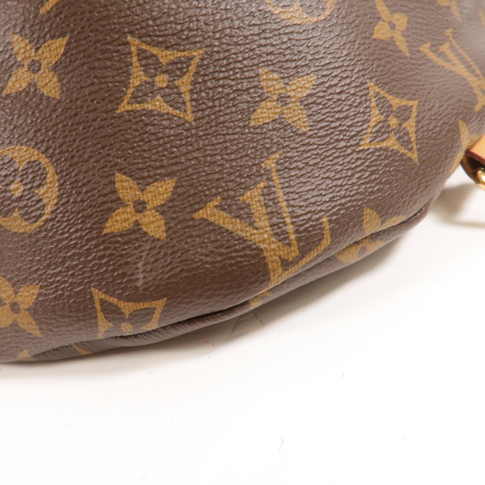 LOUIS VUITTON Monogram Bum Bag腰包