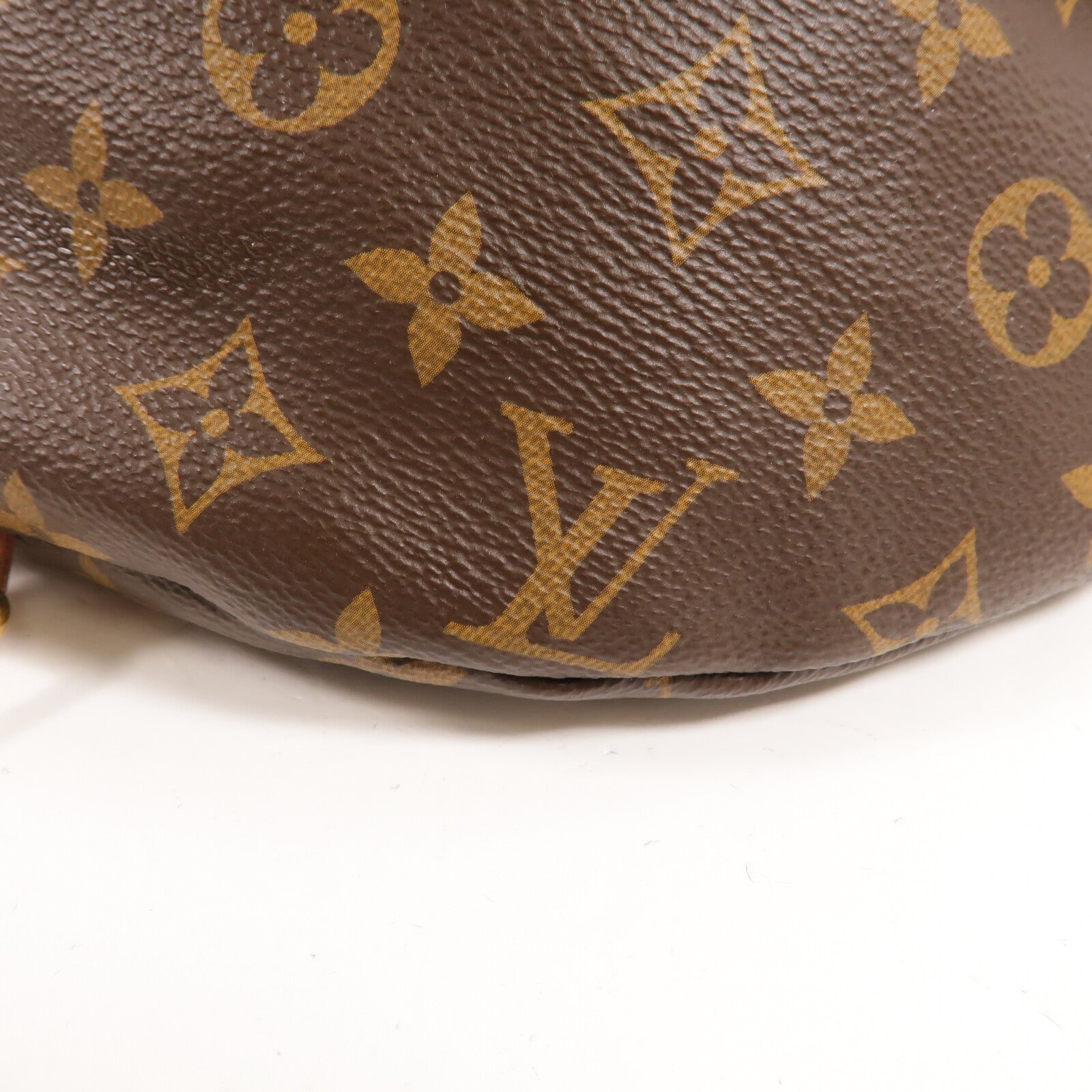 LOUIS VUITTON Monogram Bum Bag腰包
