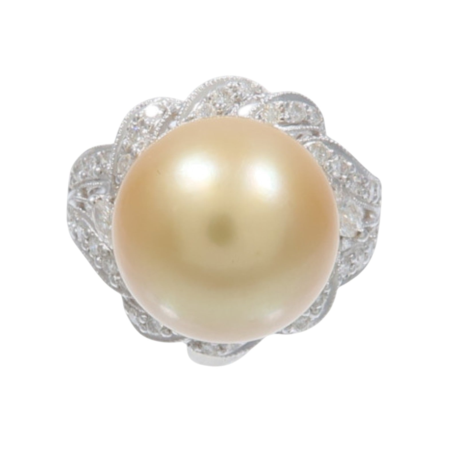 JEWELRY 18K白金Pearl Ring珍珠戒指