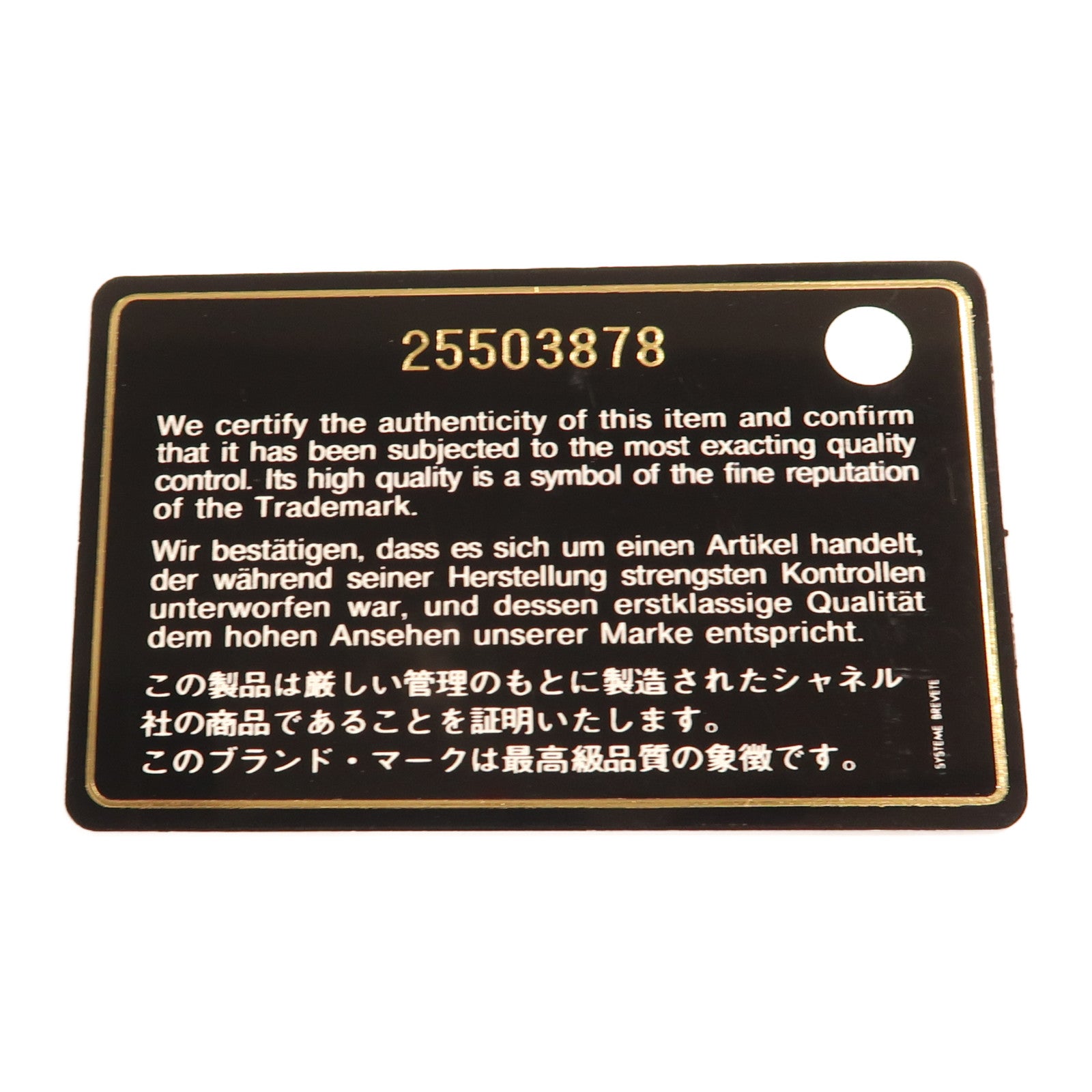 CHANEL 蜥蝪皮革/牛皮皮革Flap with Top Handle金扣手挽肩背兩用袋