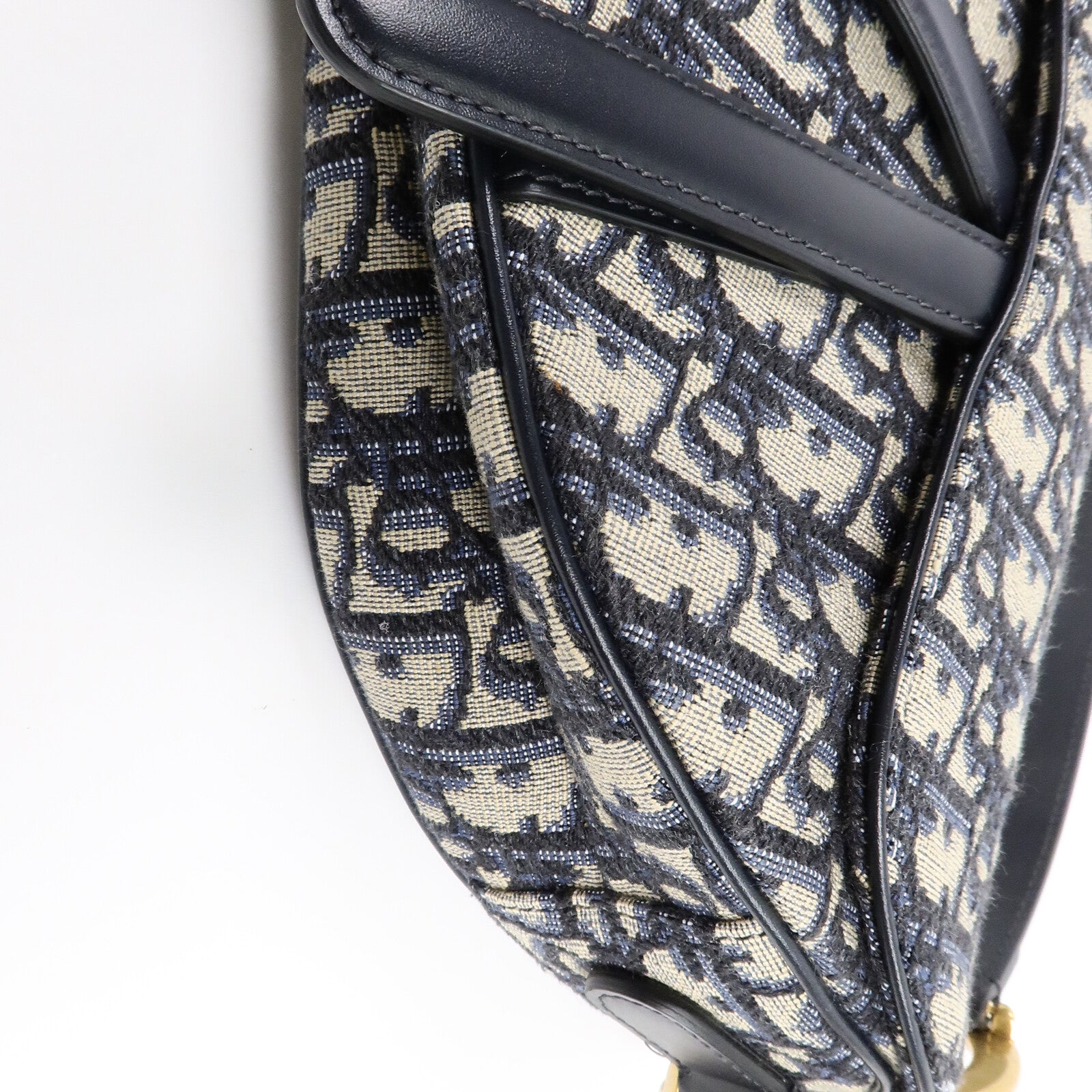 Dior 帆布Saddle Medium肩背袋