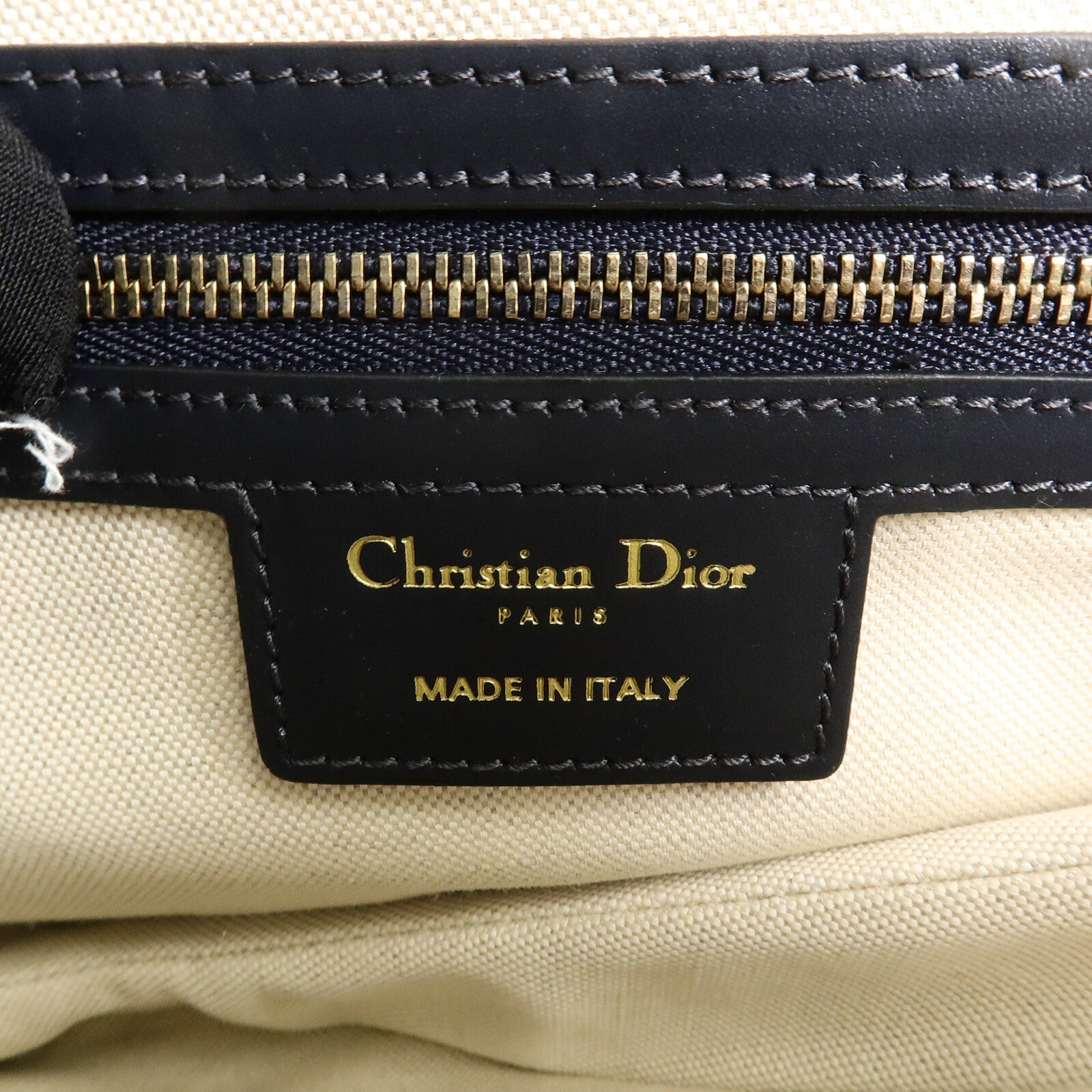 Dior 帆布Saddle Medium肩背袋