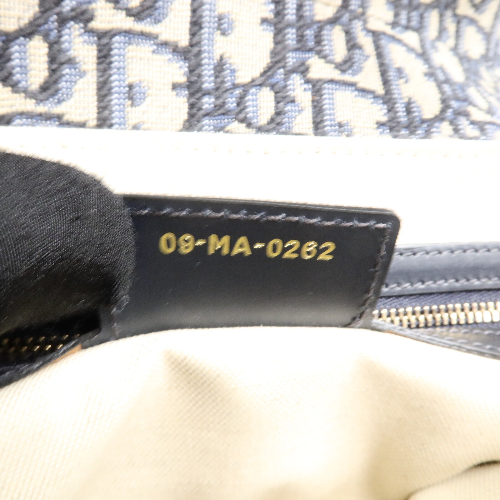 Dior 帆布Saddle Medium肩背袋