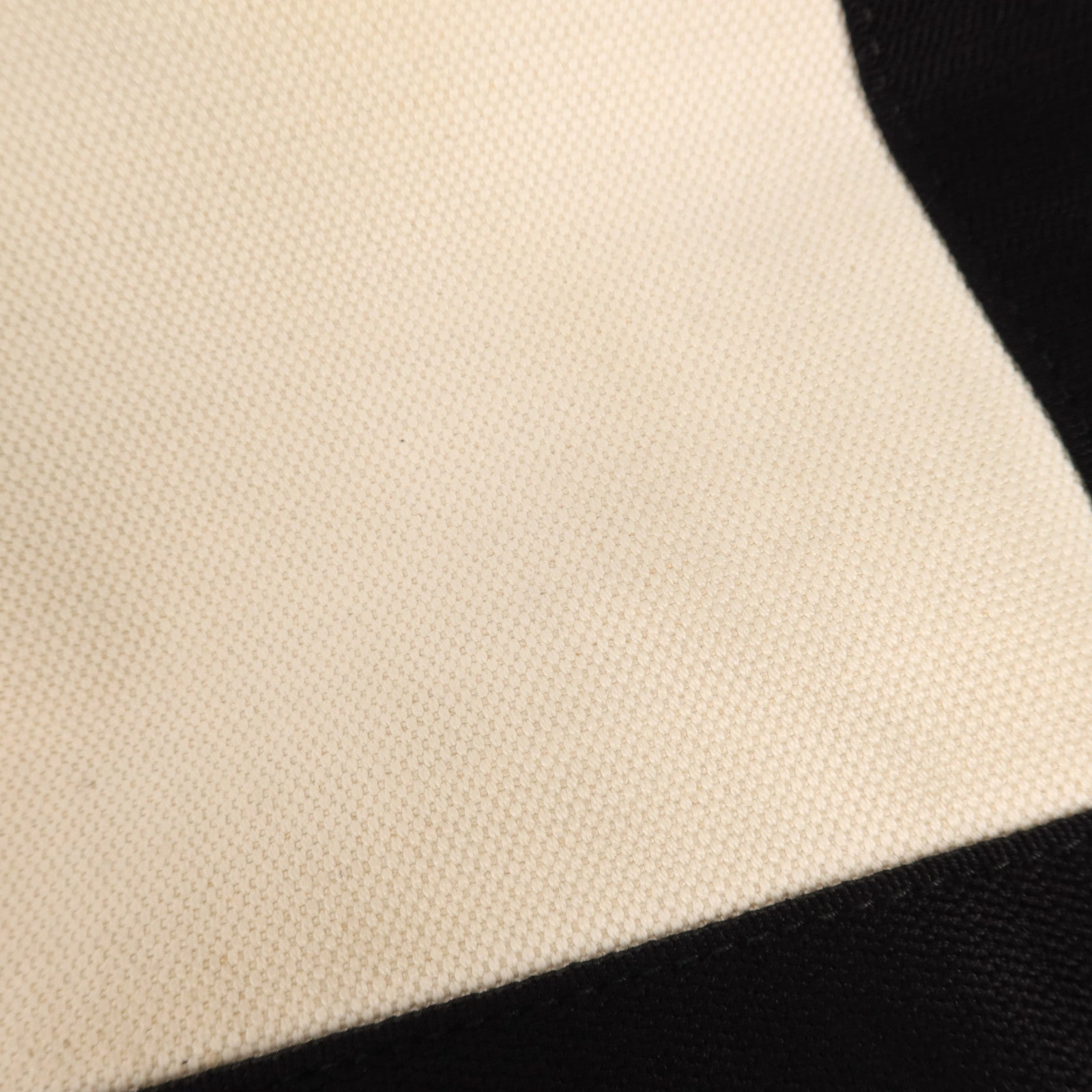 BALENCIAGA 帆布Cabas XS銀扣手挽肩背兩用袋