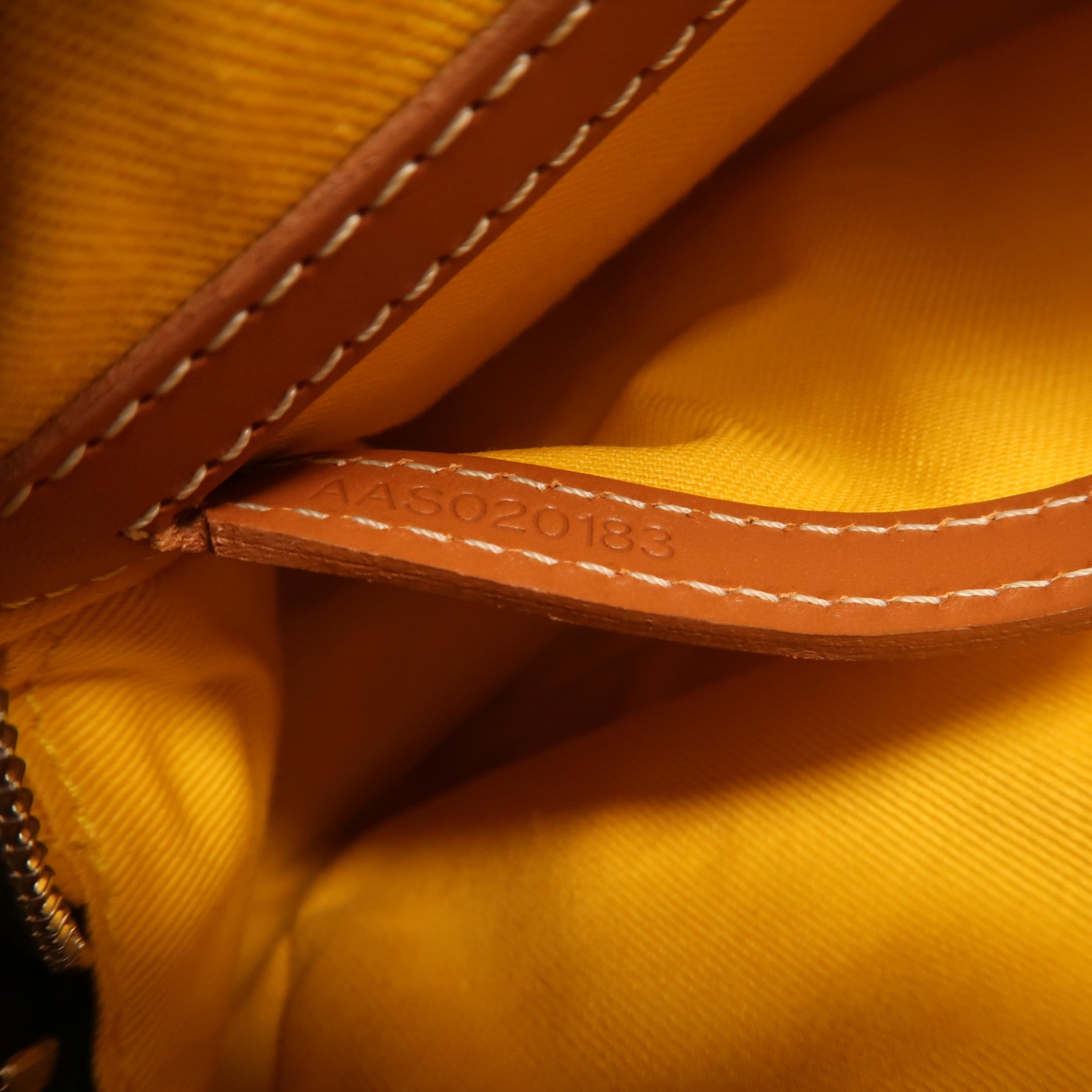 GOYARD 塗層帆布Cap Vert PM銀扣肩背袋