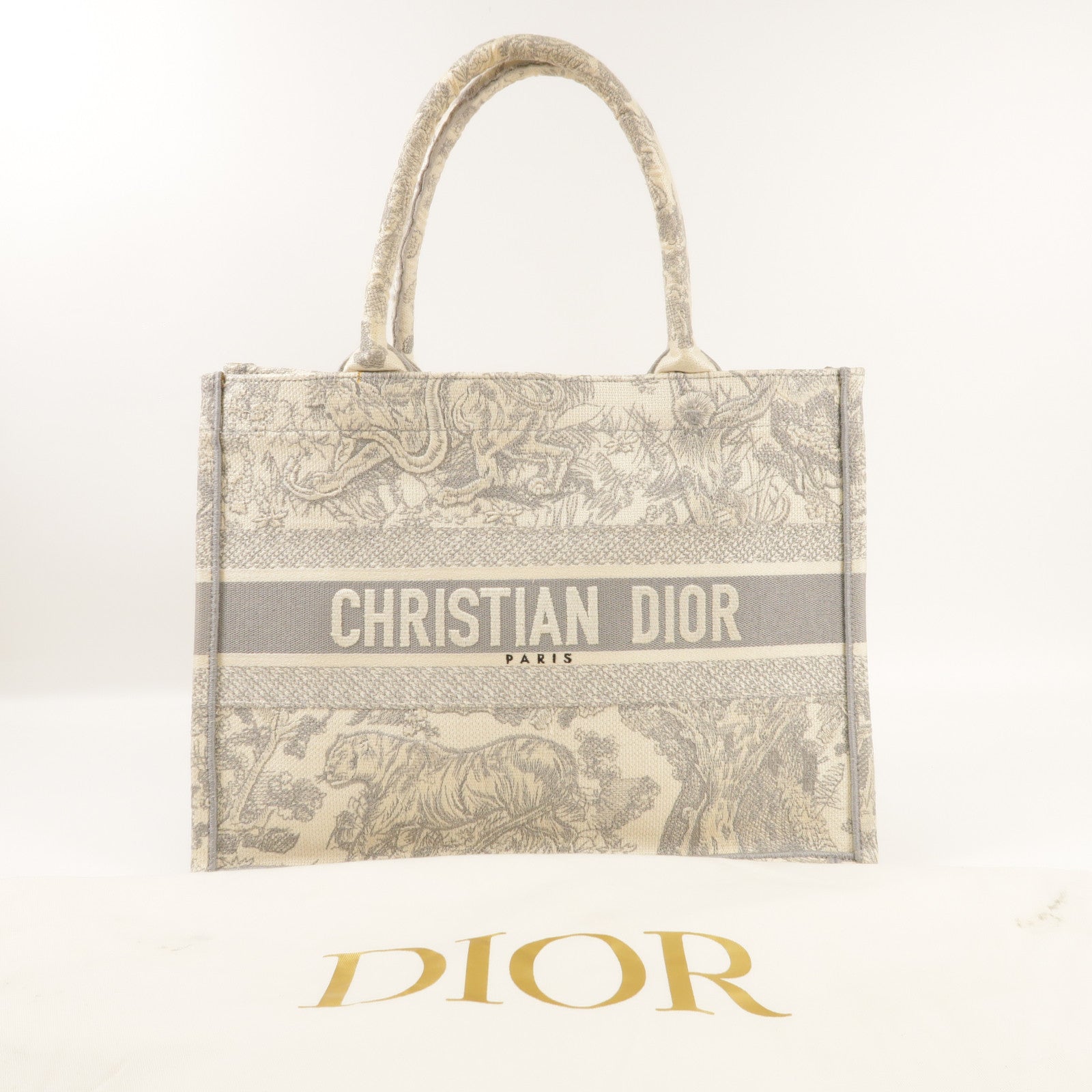 Dior 帆布Medium Book Tote手挽袋
