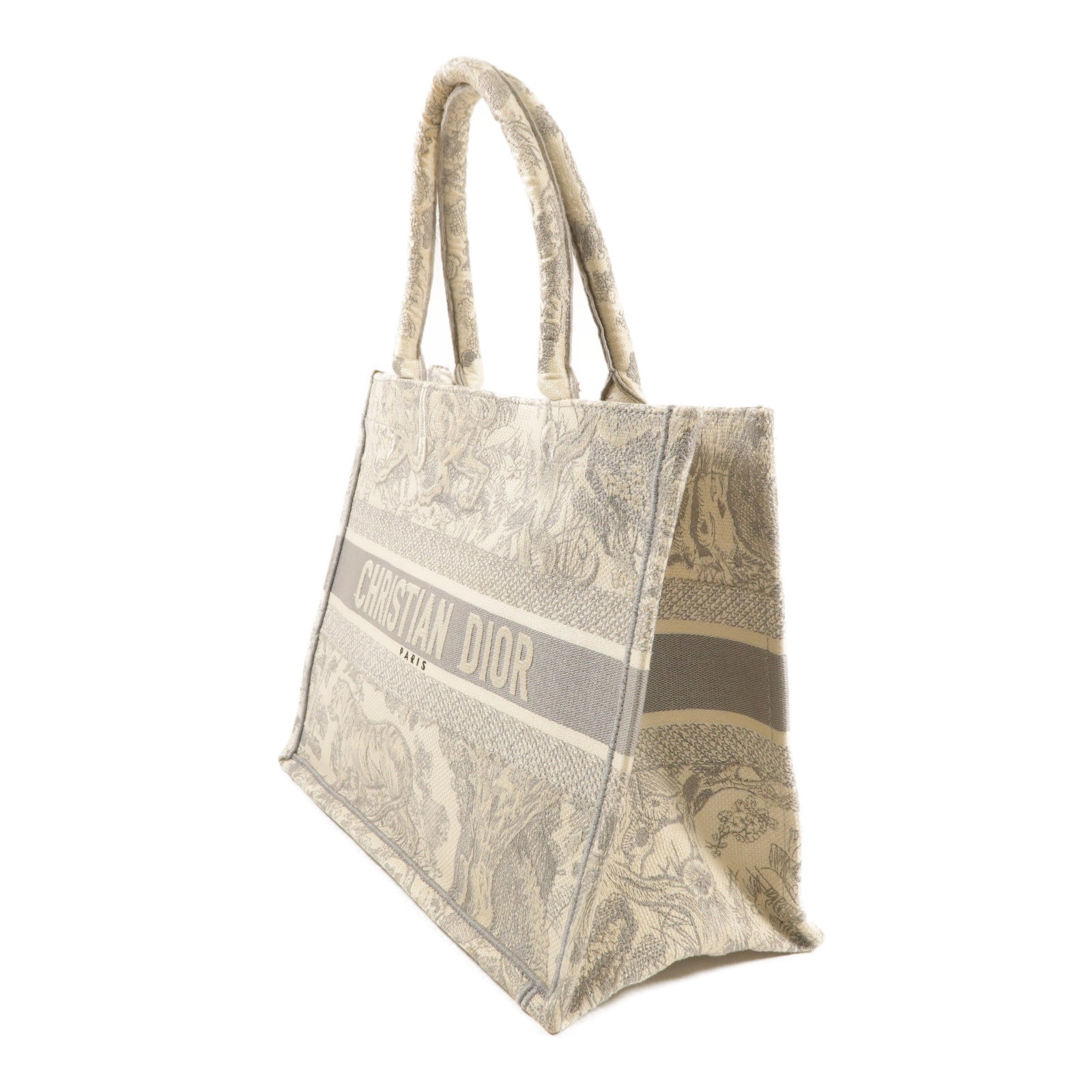 Dior 帆布Medium Book Tote手挽袋