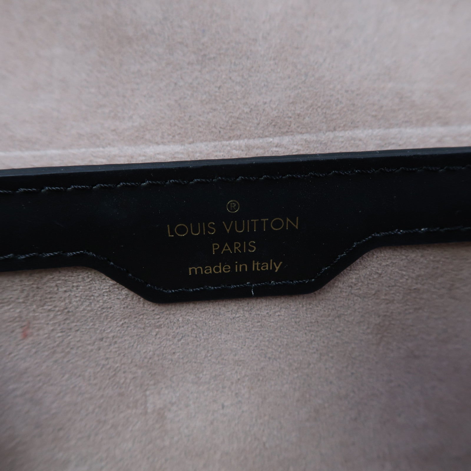 LOUIS VUITTON Epi Papillon Trunk金扣手挽肩背兩用袋黑色