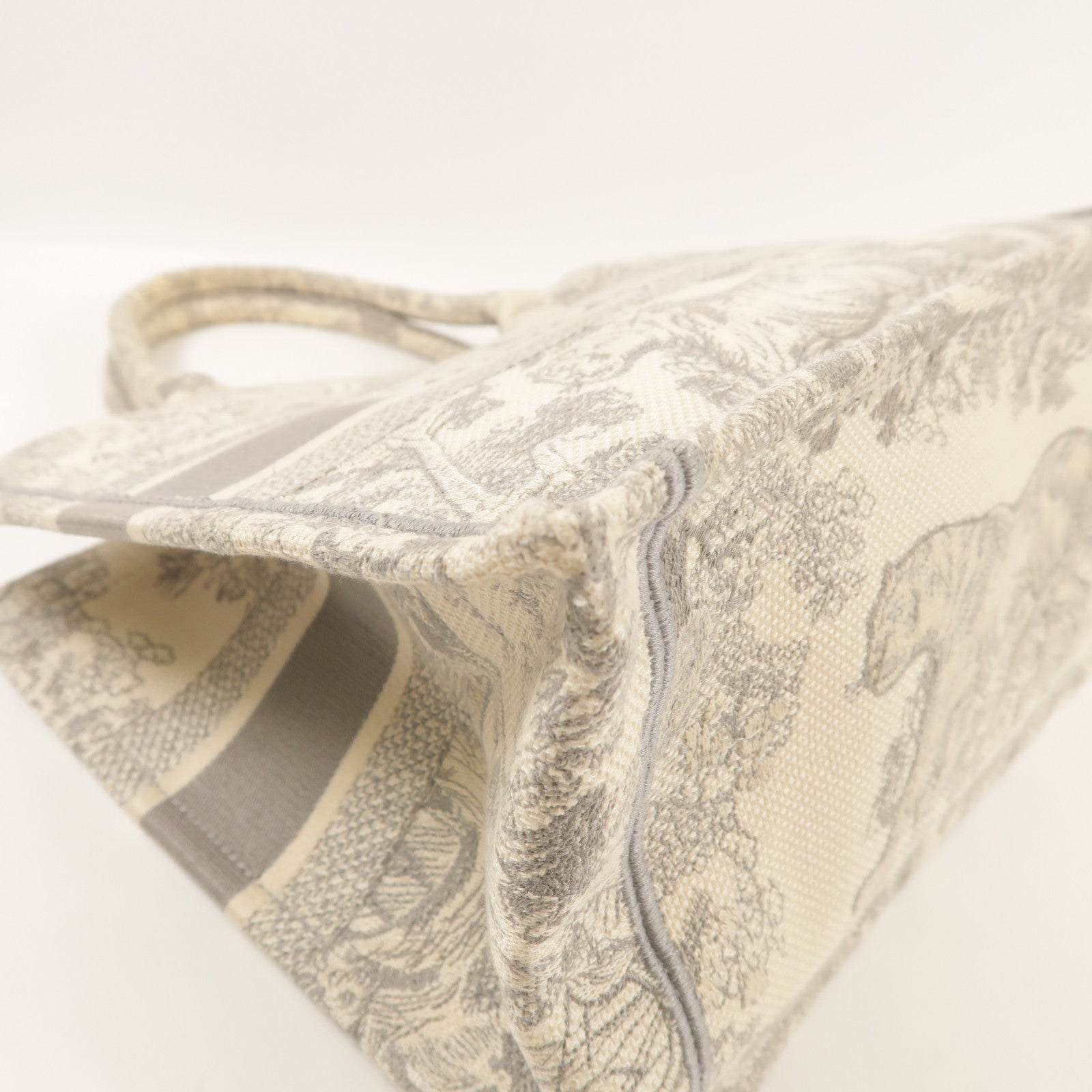 Dior 帆布Medium Book Tote手挽袋