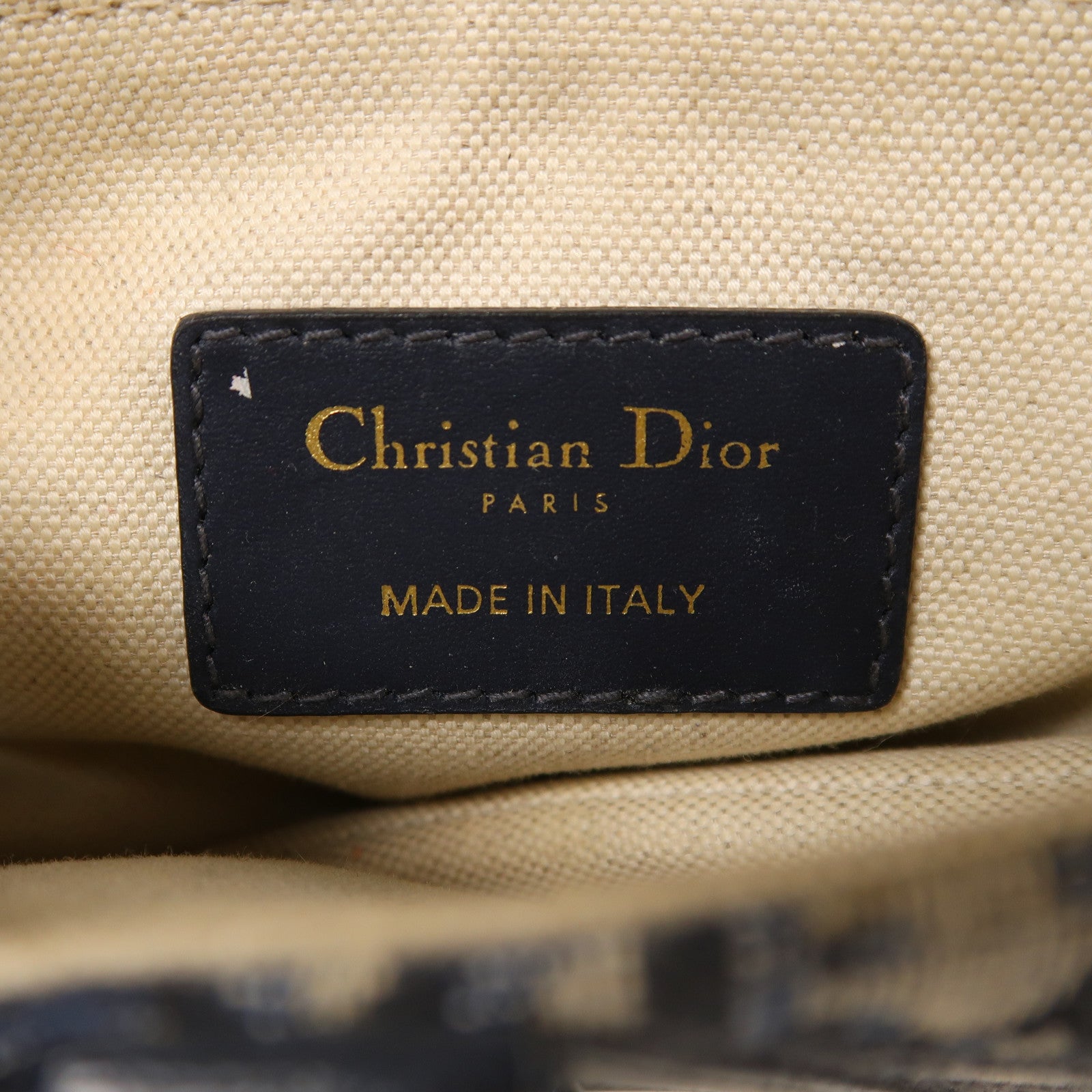 Dior 帆布Mini Saddle金扣手挽袋