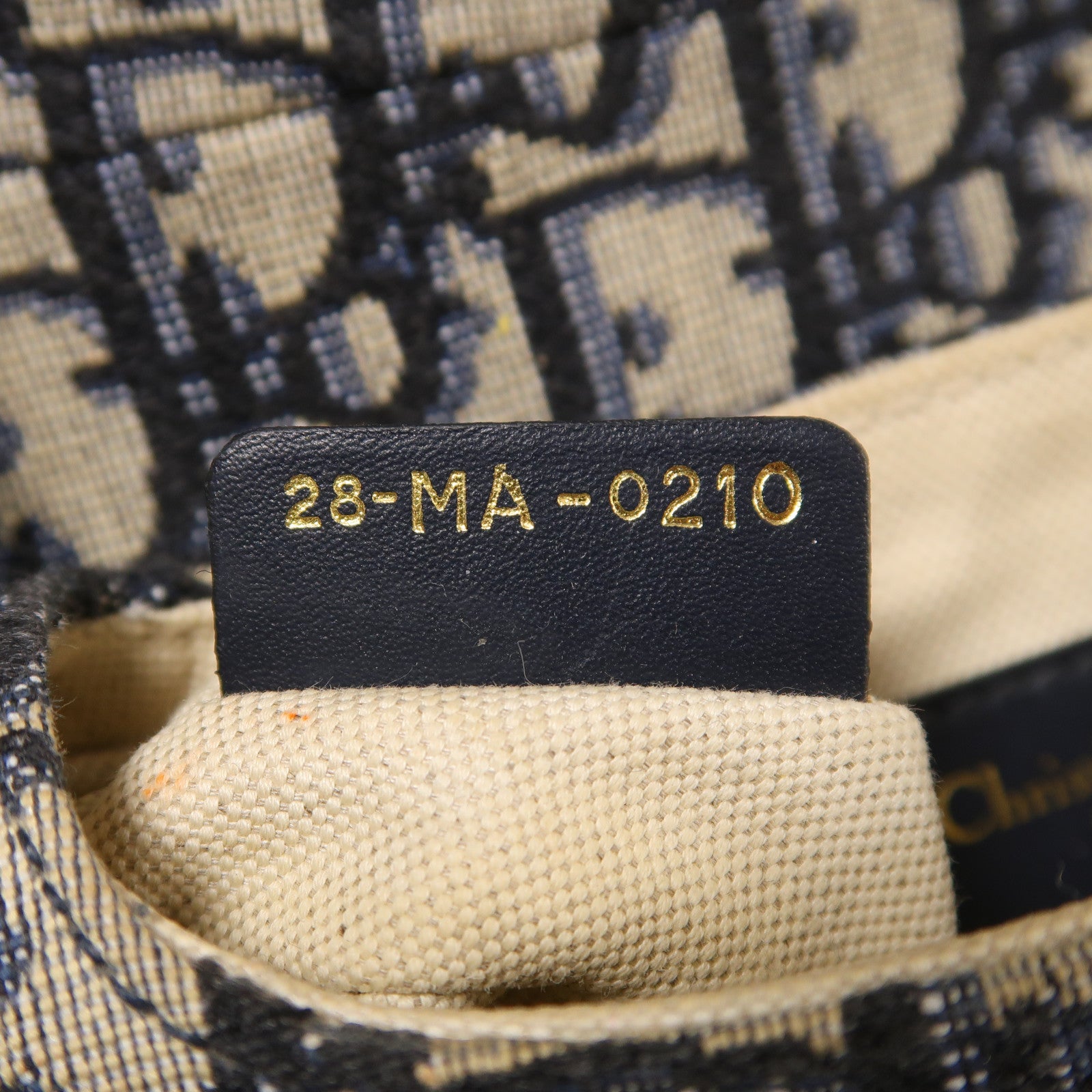 Dior 帆布Mini Saddle金扣手挽袋