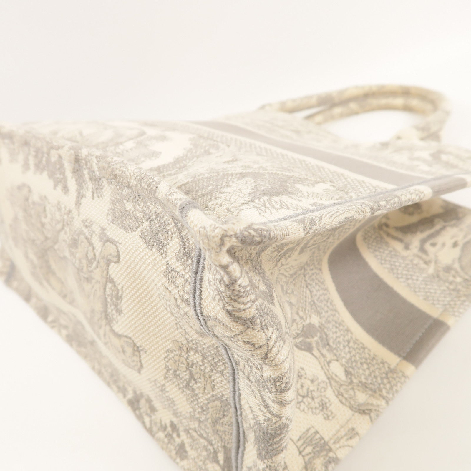 Dior 帆布Medium Book Tote手挽袋