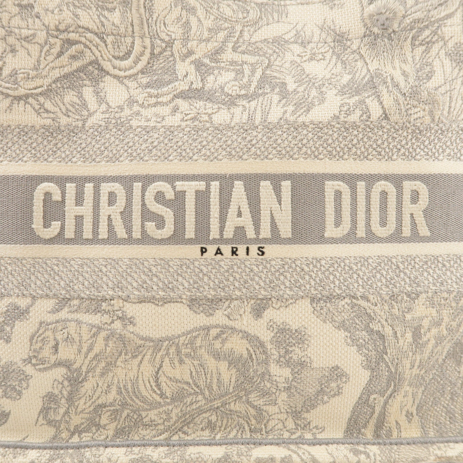 Dior 帆布Medium Book Tote手挽袋