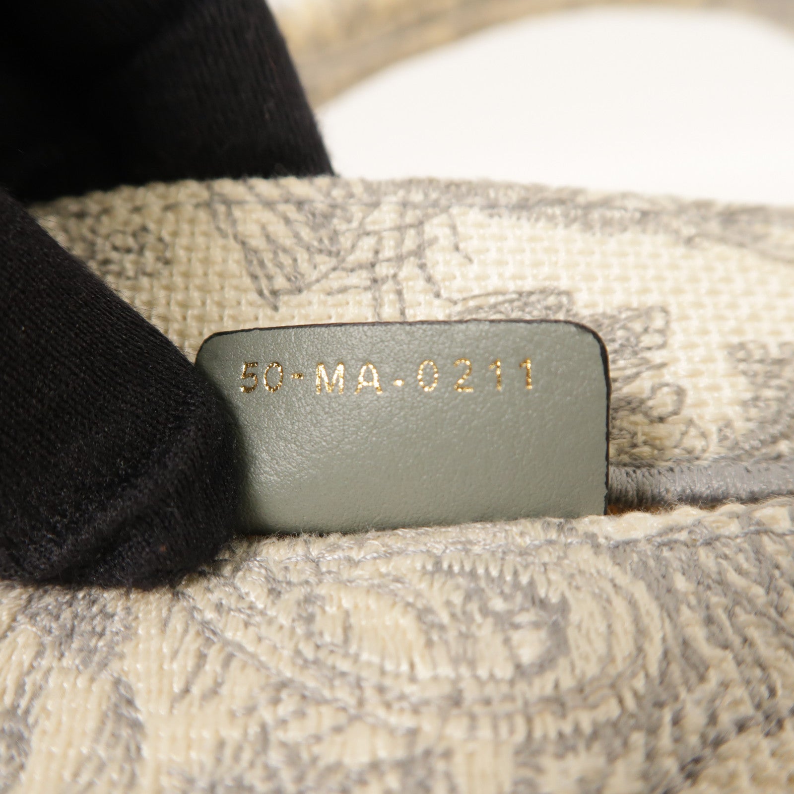 Dior 帆布Medium Book Tote手挽袋