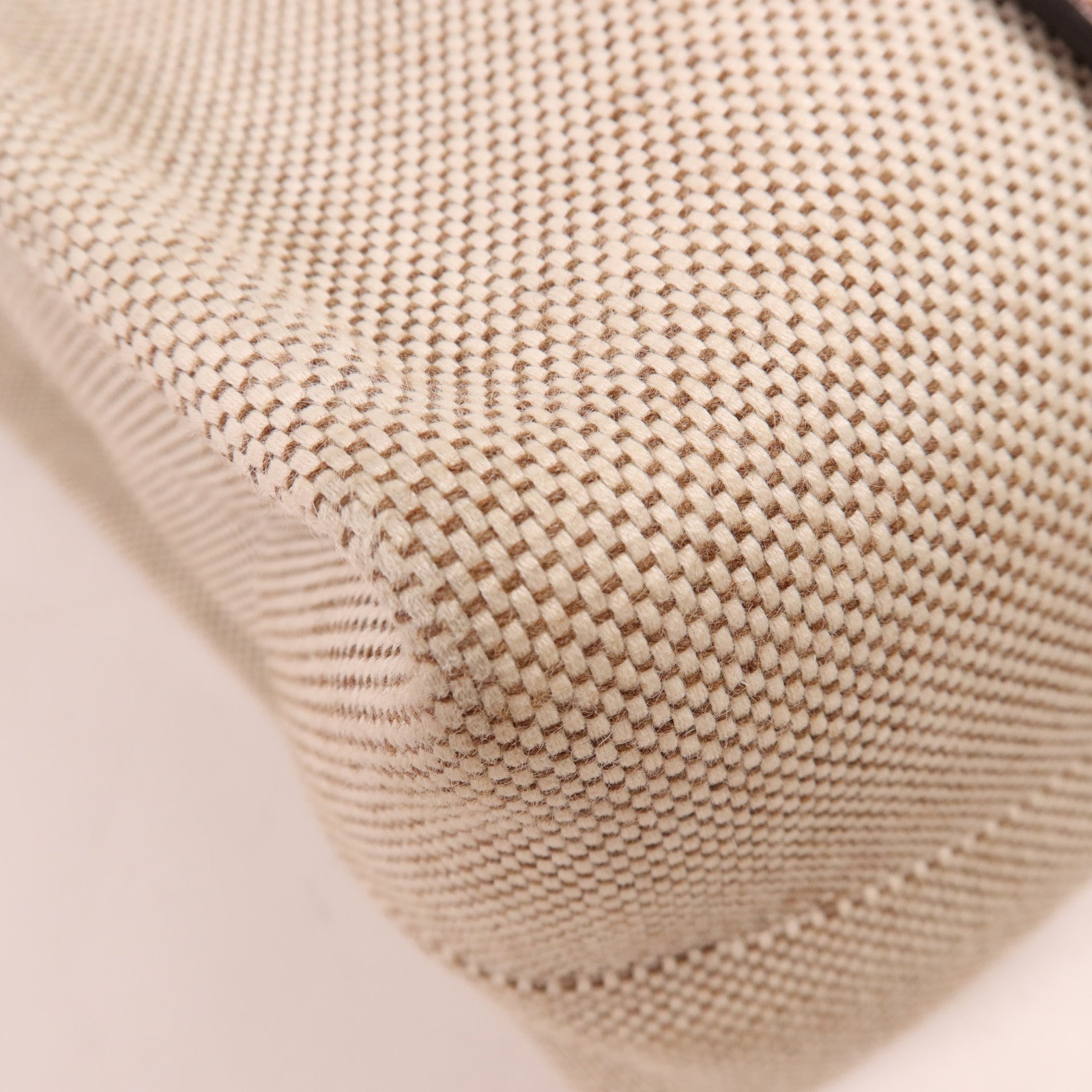 Chloe 帆布Woody Medium肩背袋/手挽袋