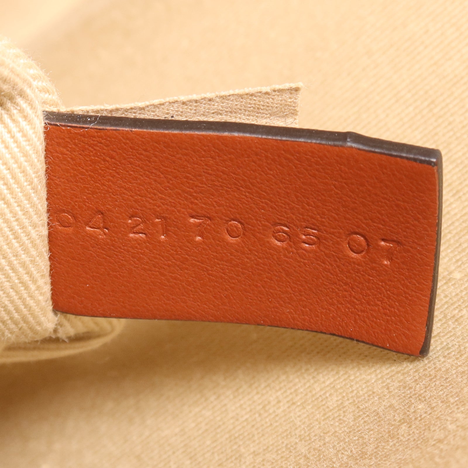 Chloe 帆布Woody Medium肩背袋/手挽袋