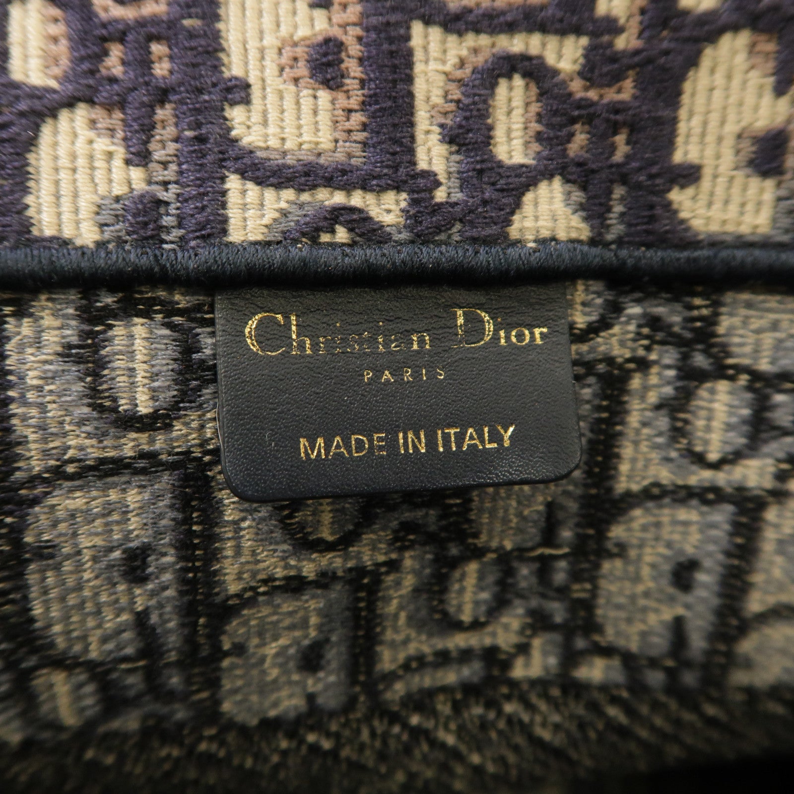 Dior 帆布Booktote手挽袋藍色