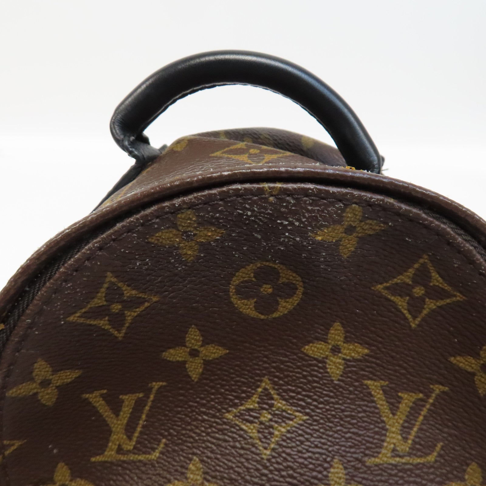 LOUIS VUITTON Monogram Palm Springs Bag金扣背包啡色