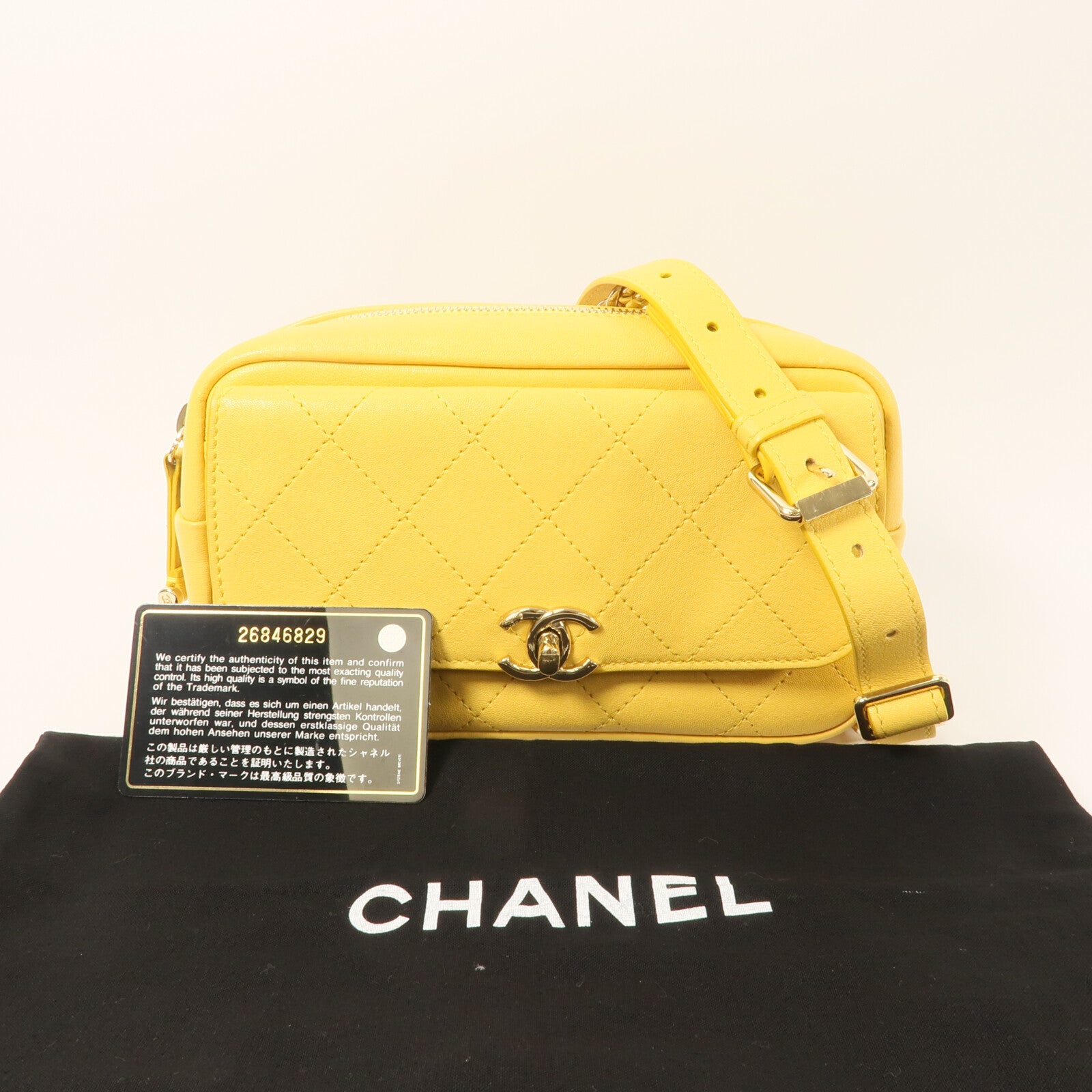 CHANEL 牛皮皮革Waist Bag腰包