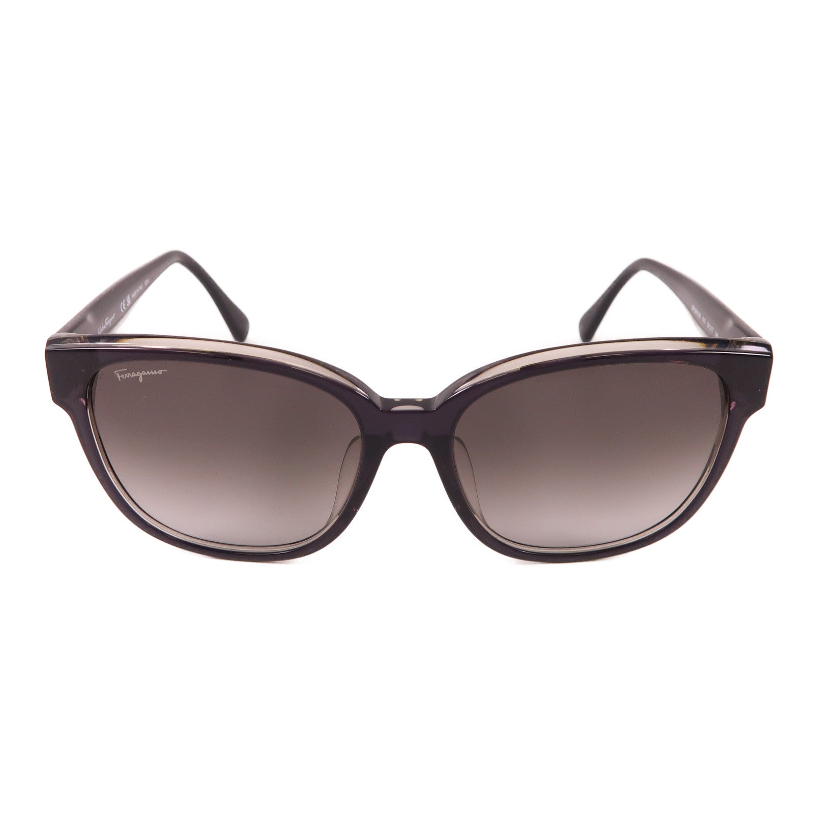 Salvatore Ferragamo PVC Sunglasses太陽眼鏡