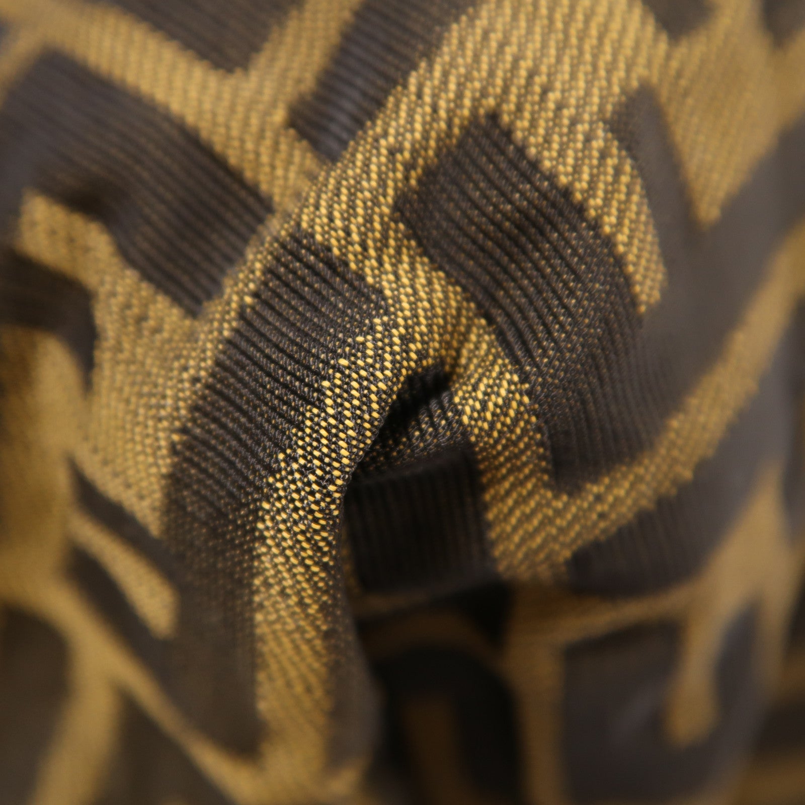 FENDI 帆布Backpack銀扣背包