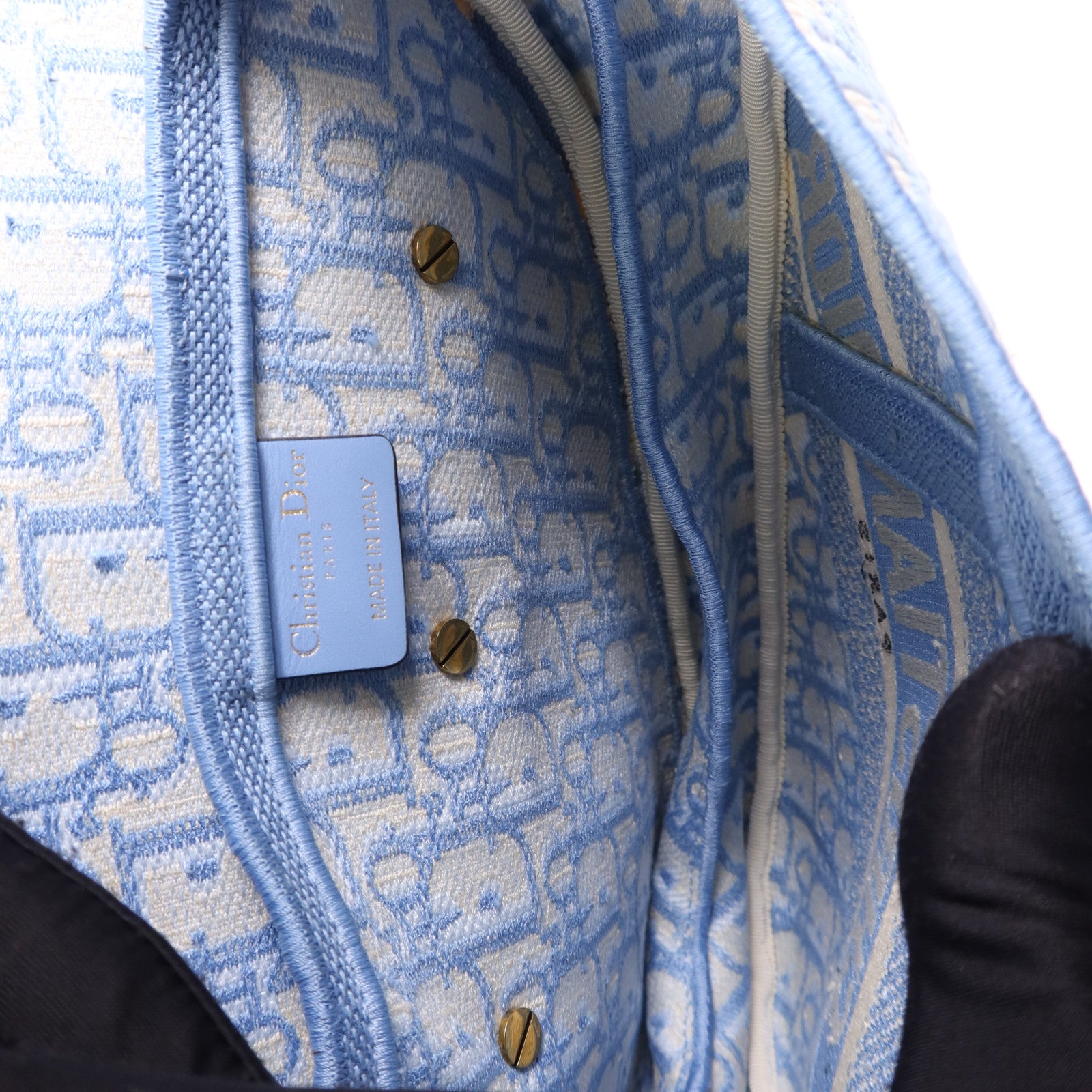Dior 帆布Saddle金扣手挽袋
