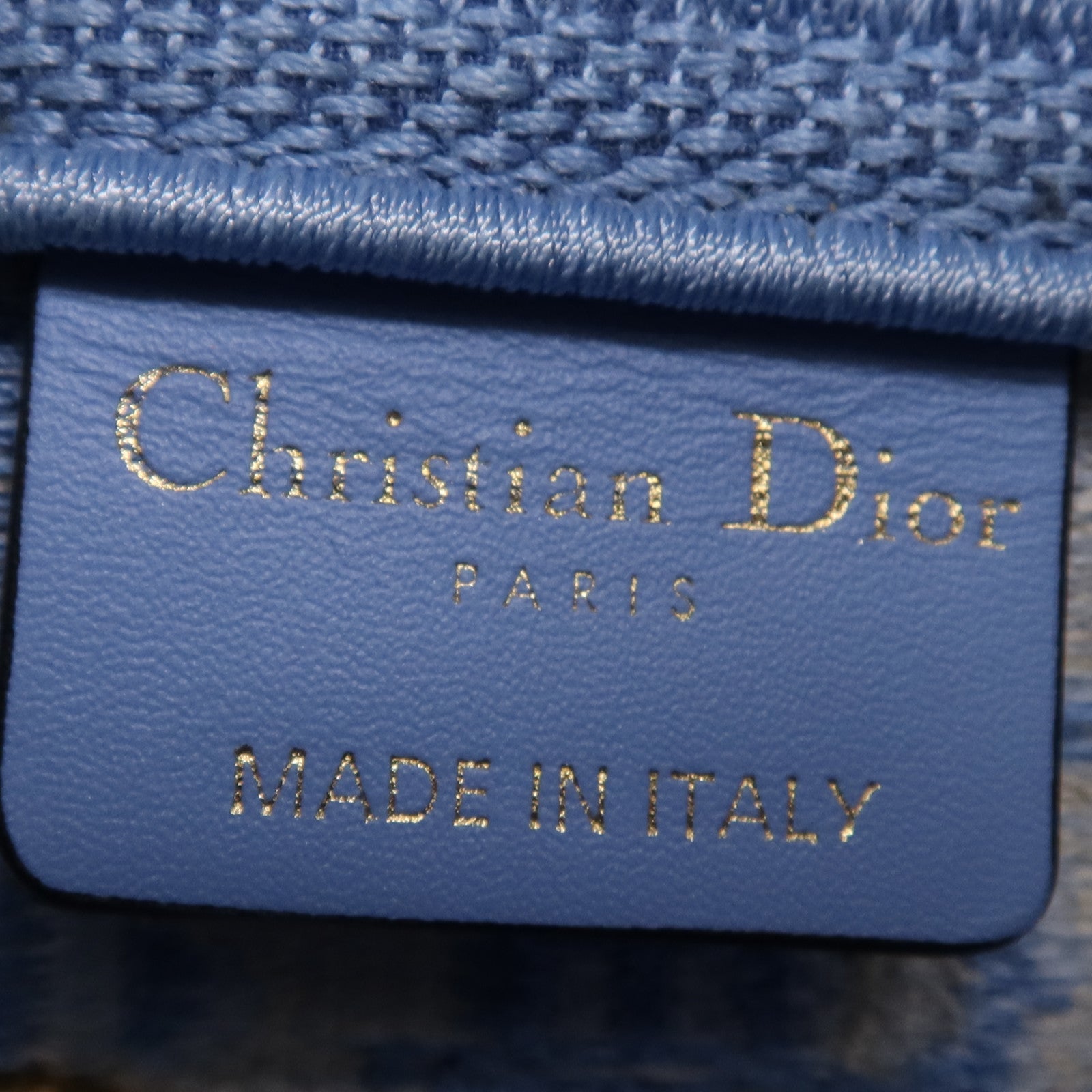 Dior 帆布Saddle金扣手挽袋