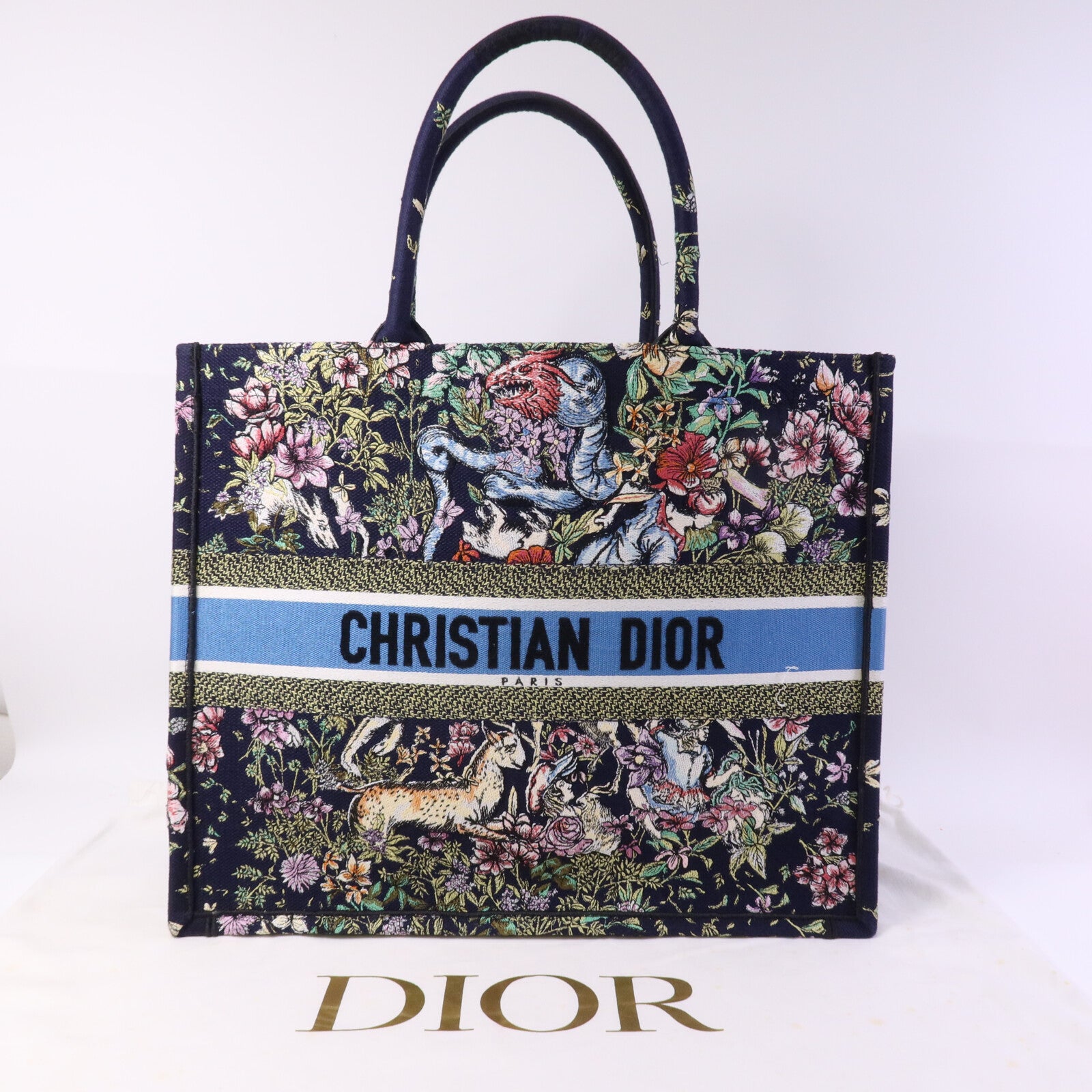Dior 帆布Book Tote Large手挽袋