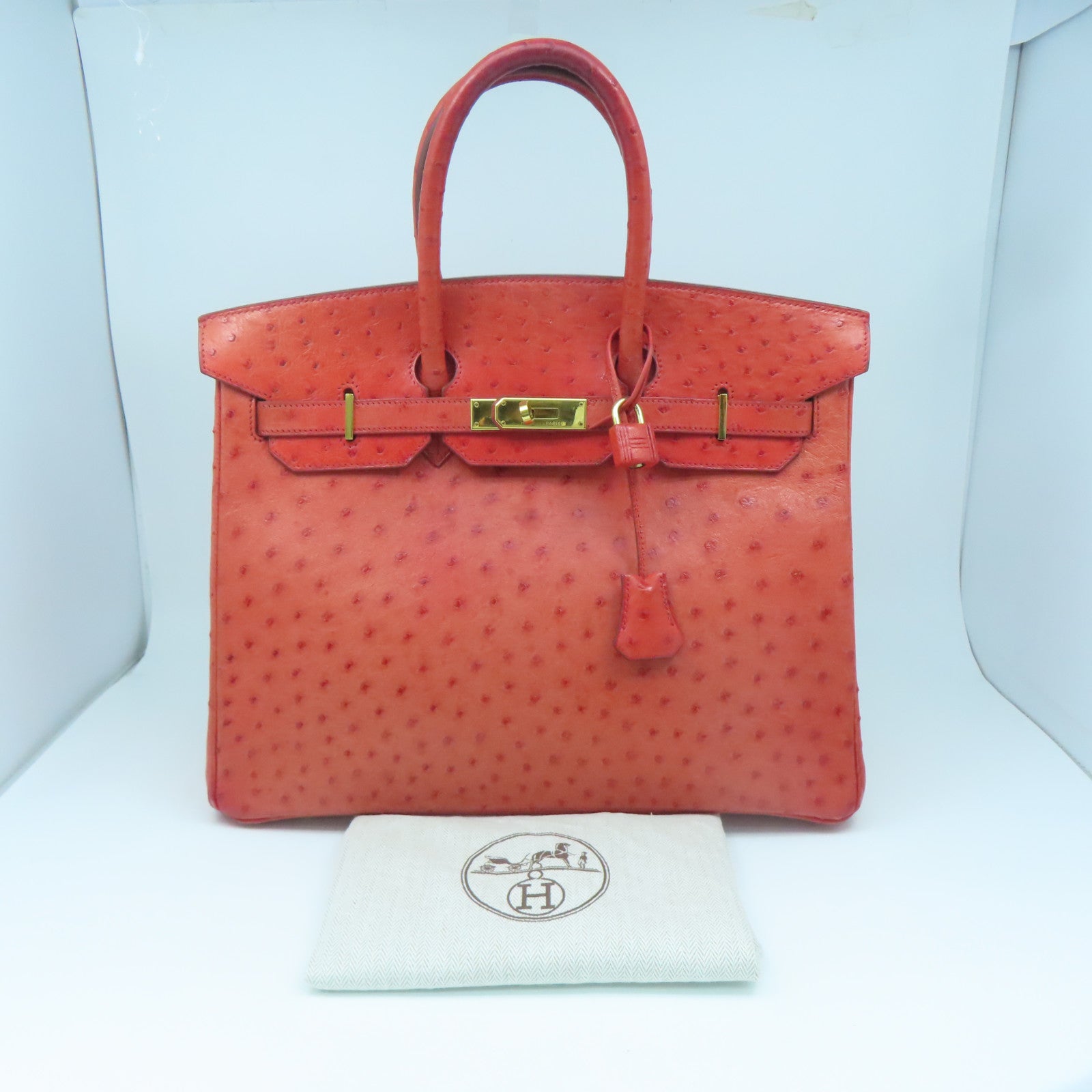 HERMES Ostrich Leather Birkin 35 Gold Buckle Hand Bag Ostrich Red