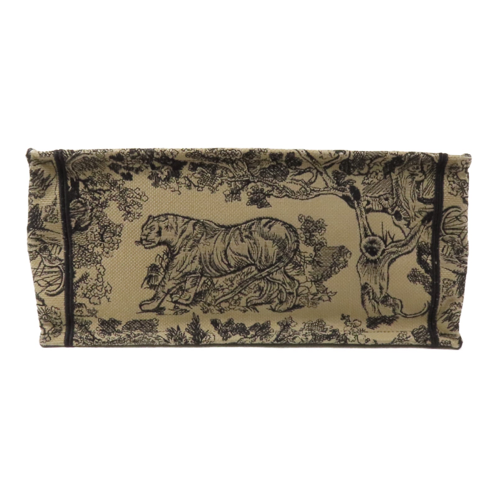 Dior 帆布Book Tote Medium手挽袋