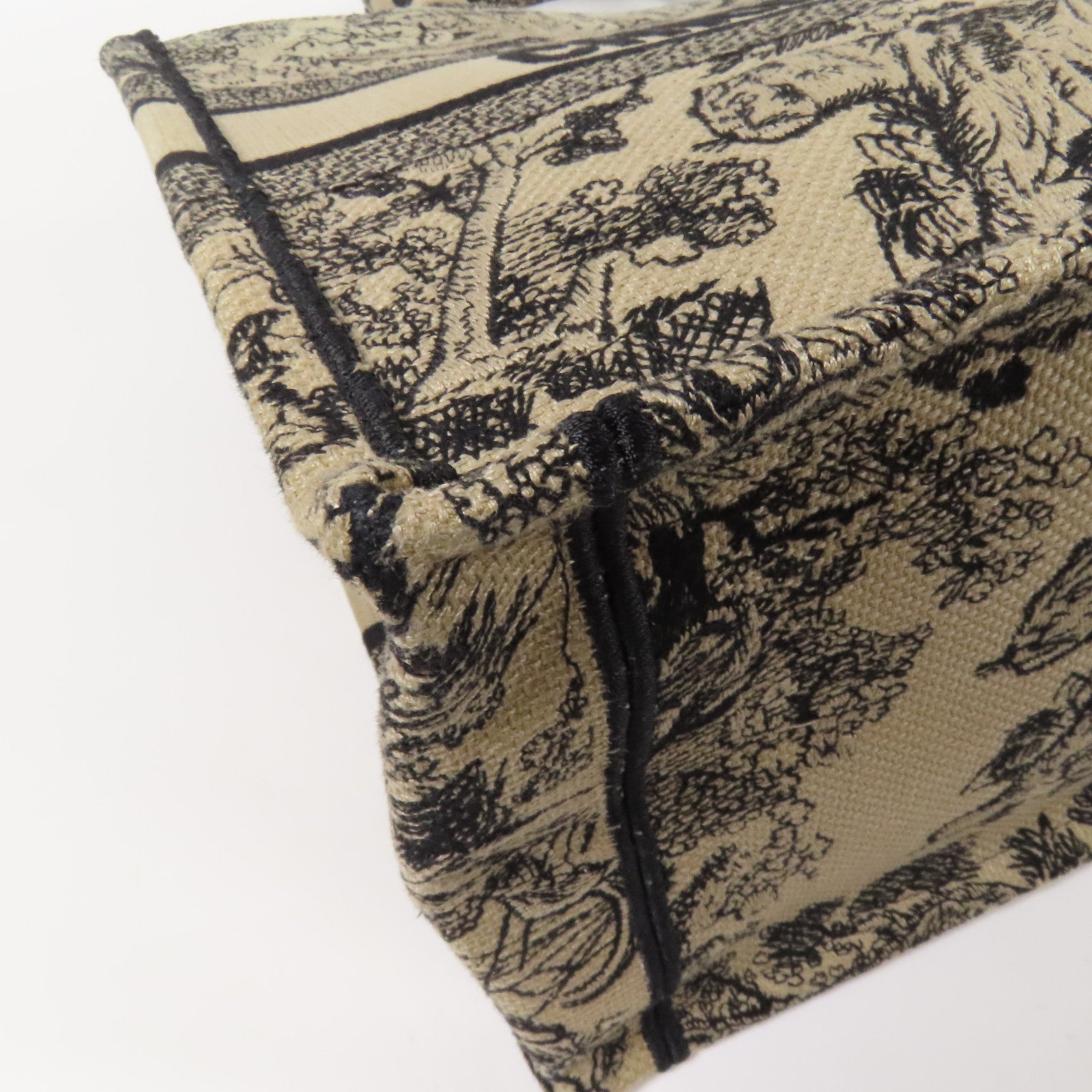 Dior 帆布Book Tote Medium手挽袋