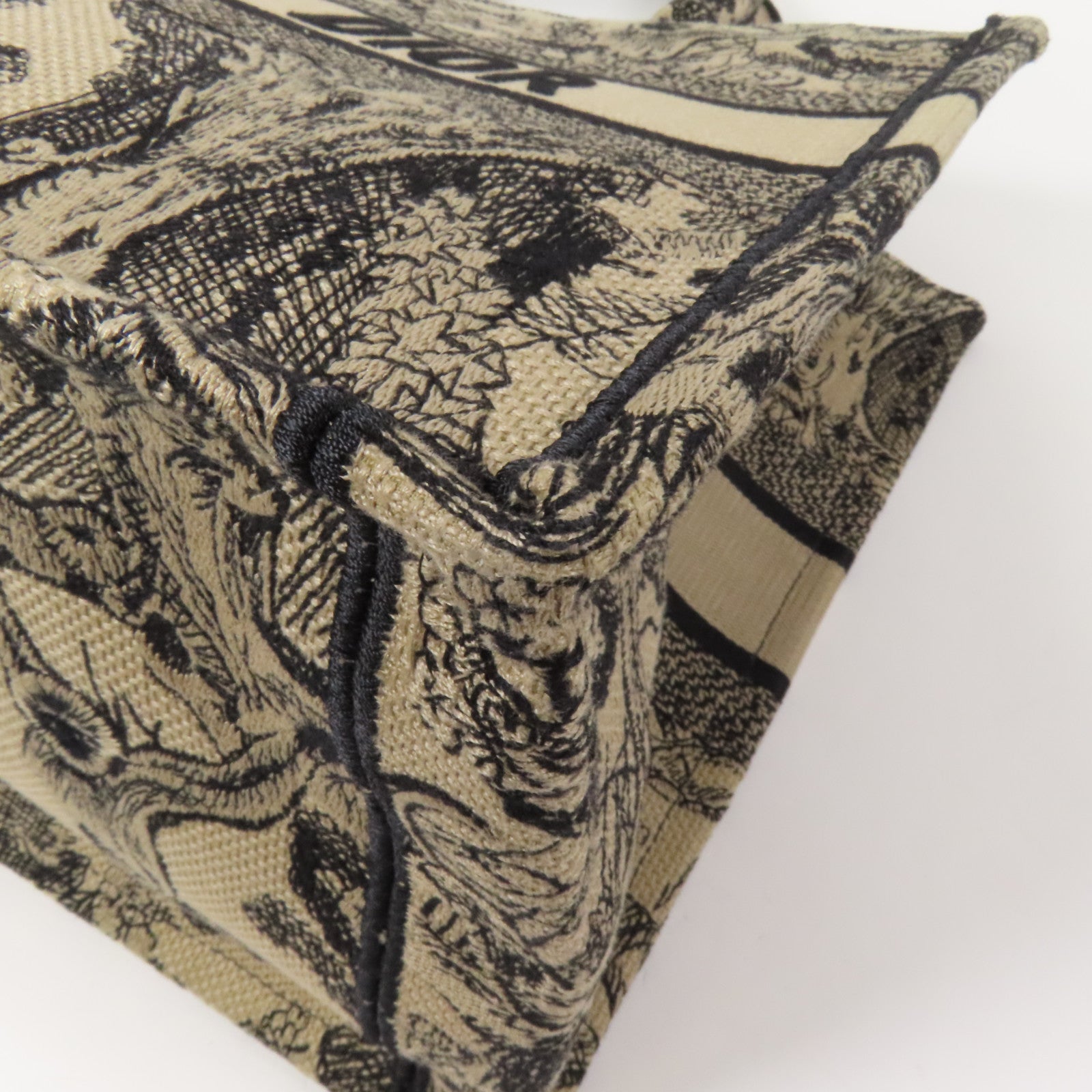 Dior 帆布Book Tote Medium手挽袋