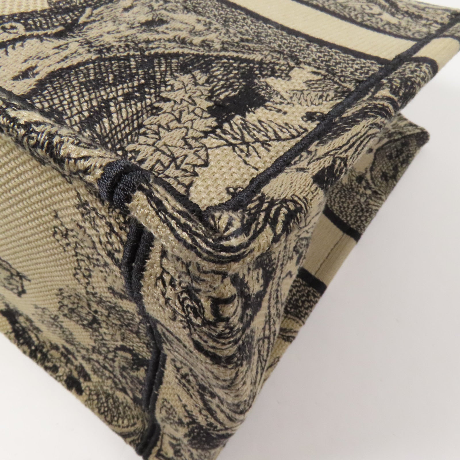 Dior 帆布Book Tote Medium手挽袋