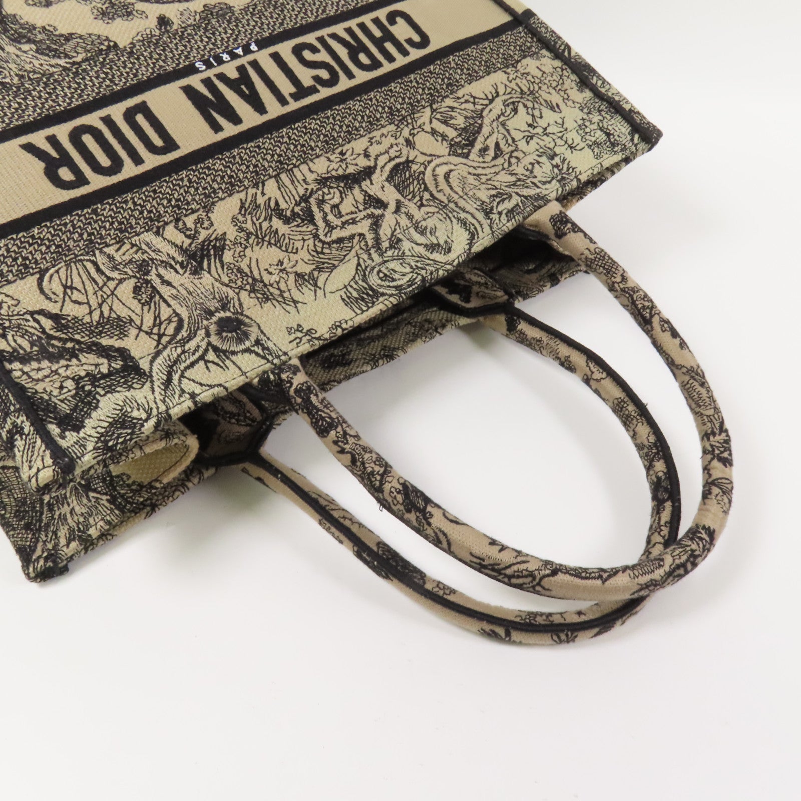 Dior 帆布Book Tote Medium手挽袋