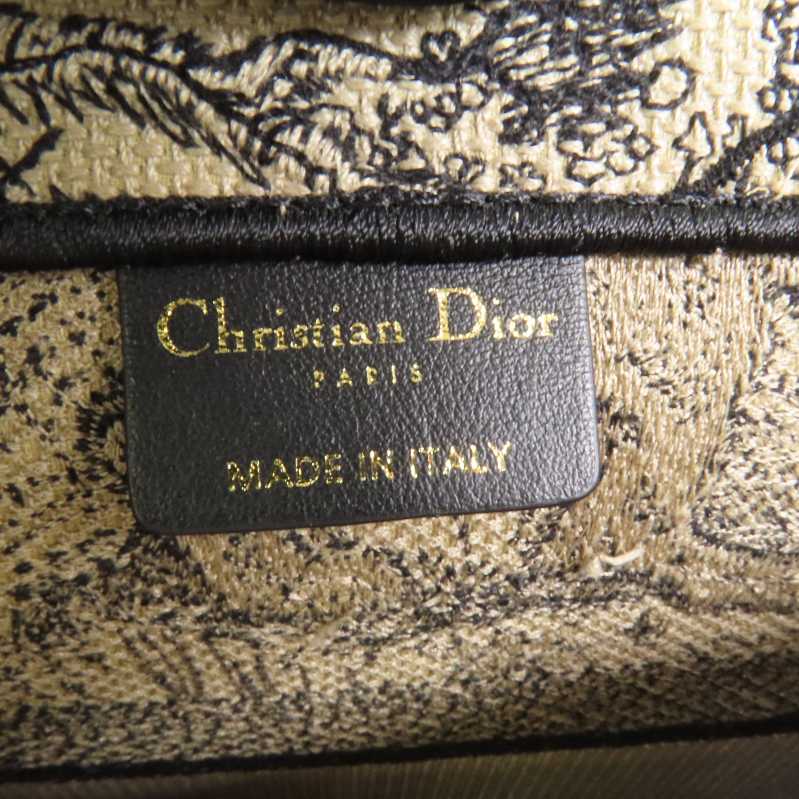 Dior 帆布Book Tote Medium手挽袋