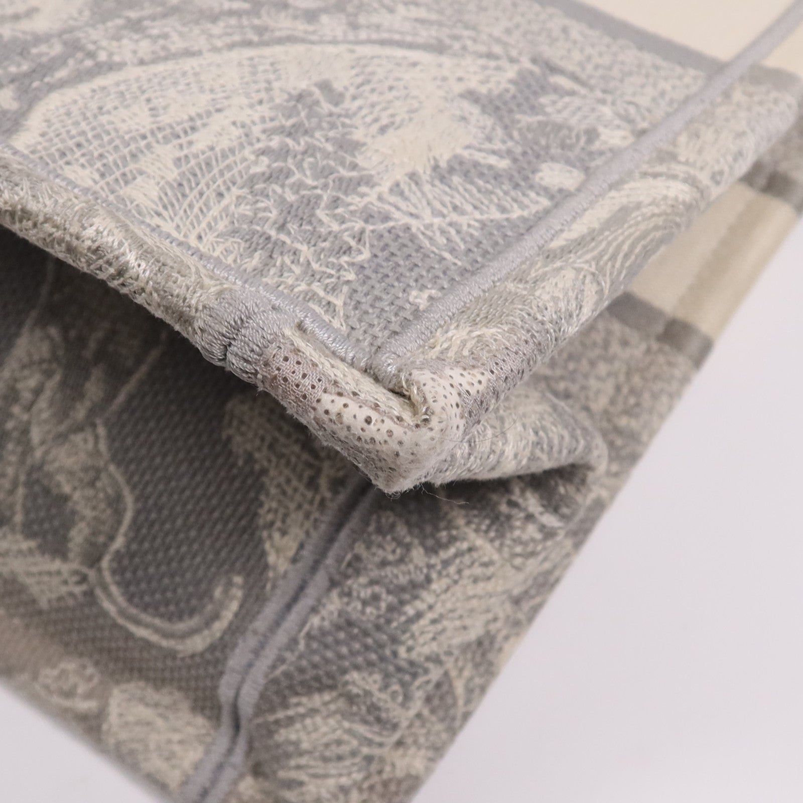 Dior 帆布Book Tote手挽袋