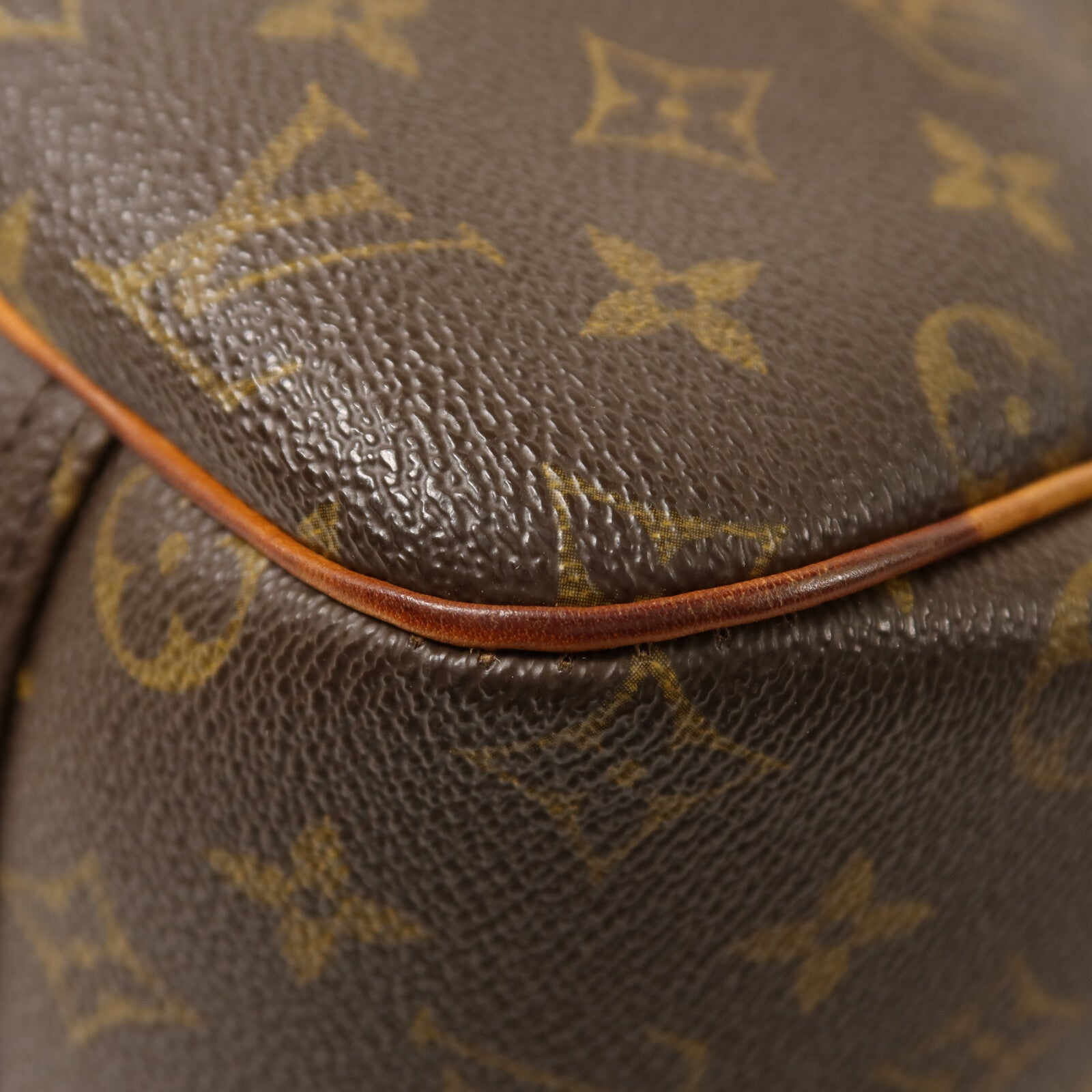 LOUIS VUITTON Monogram Excursion Shoe Case金扣手挽袋
