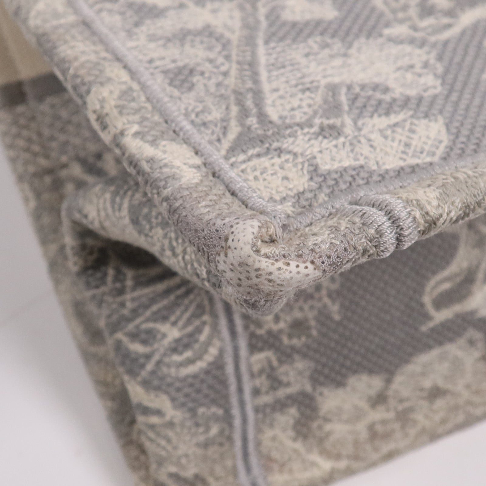 Dior 帆布Book Tote手挽袋